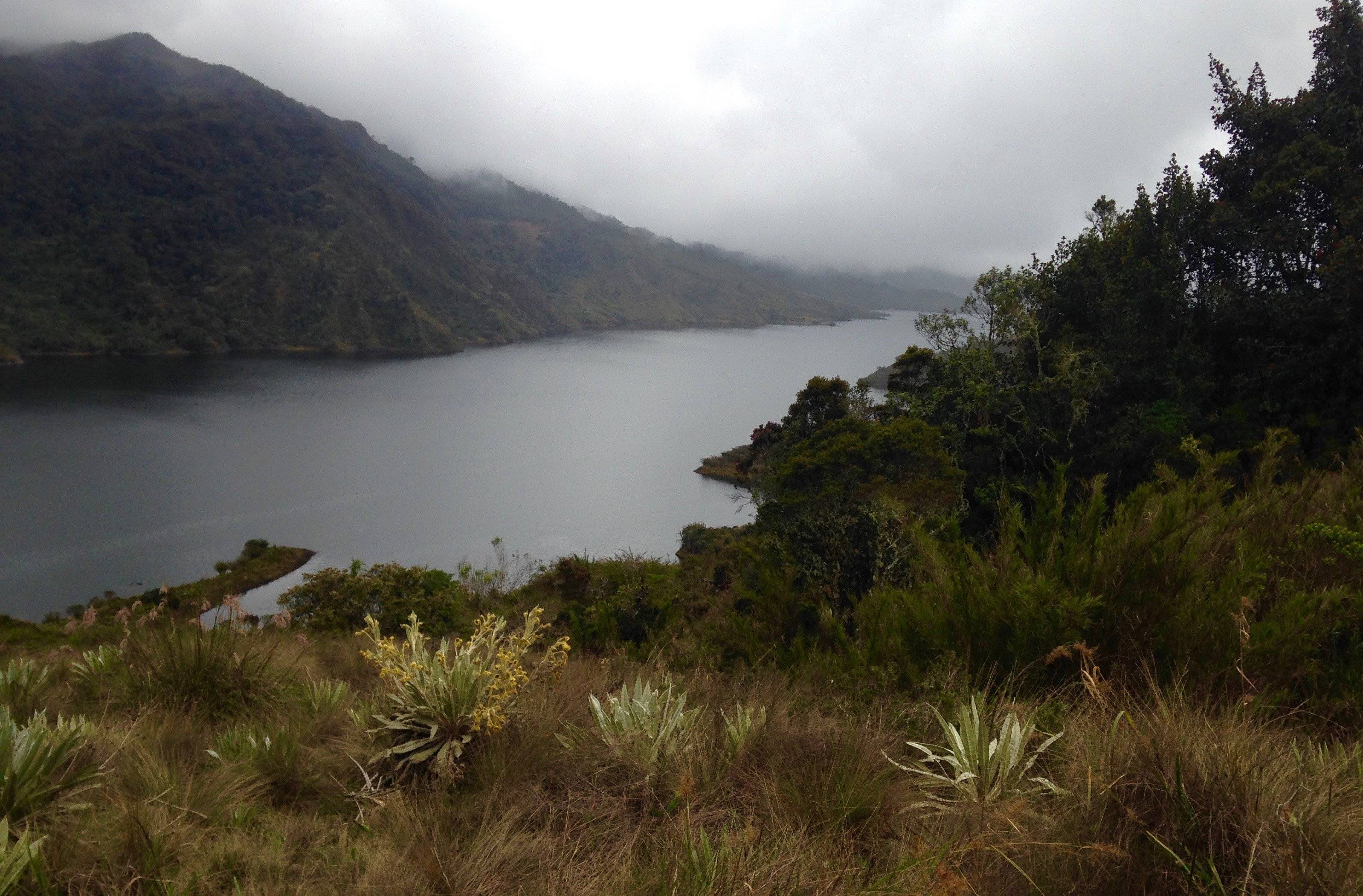 Bogotá al natural: el Parque Nacional Chingaza