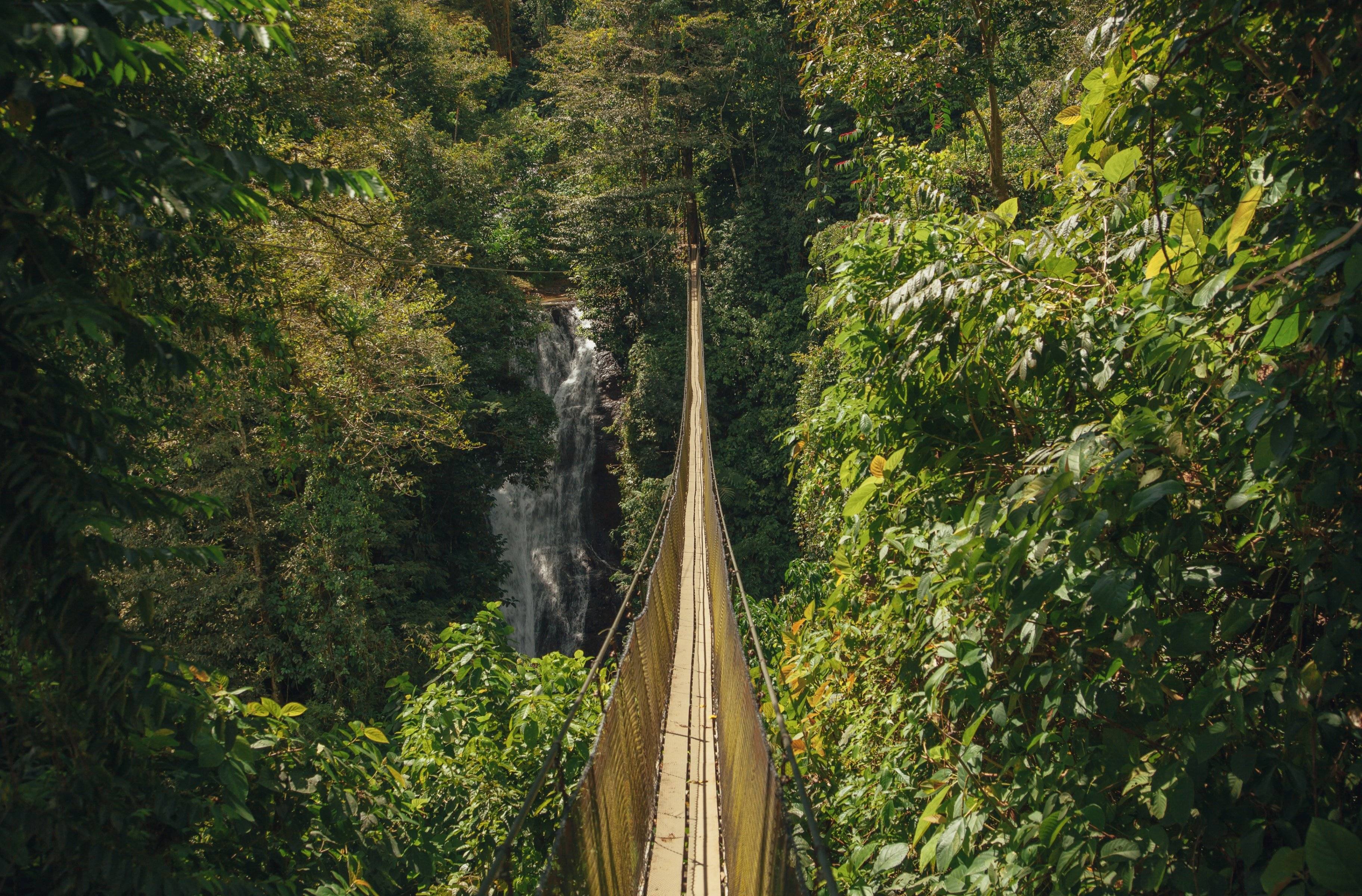Unglaubliche Hängebrücken & Weiterfahrt nach Monteverde