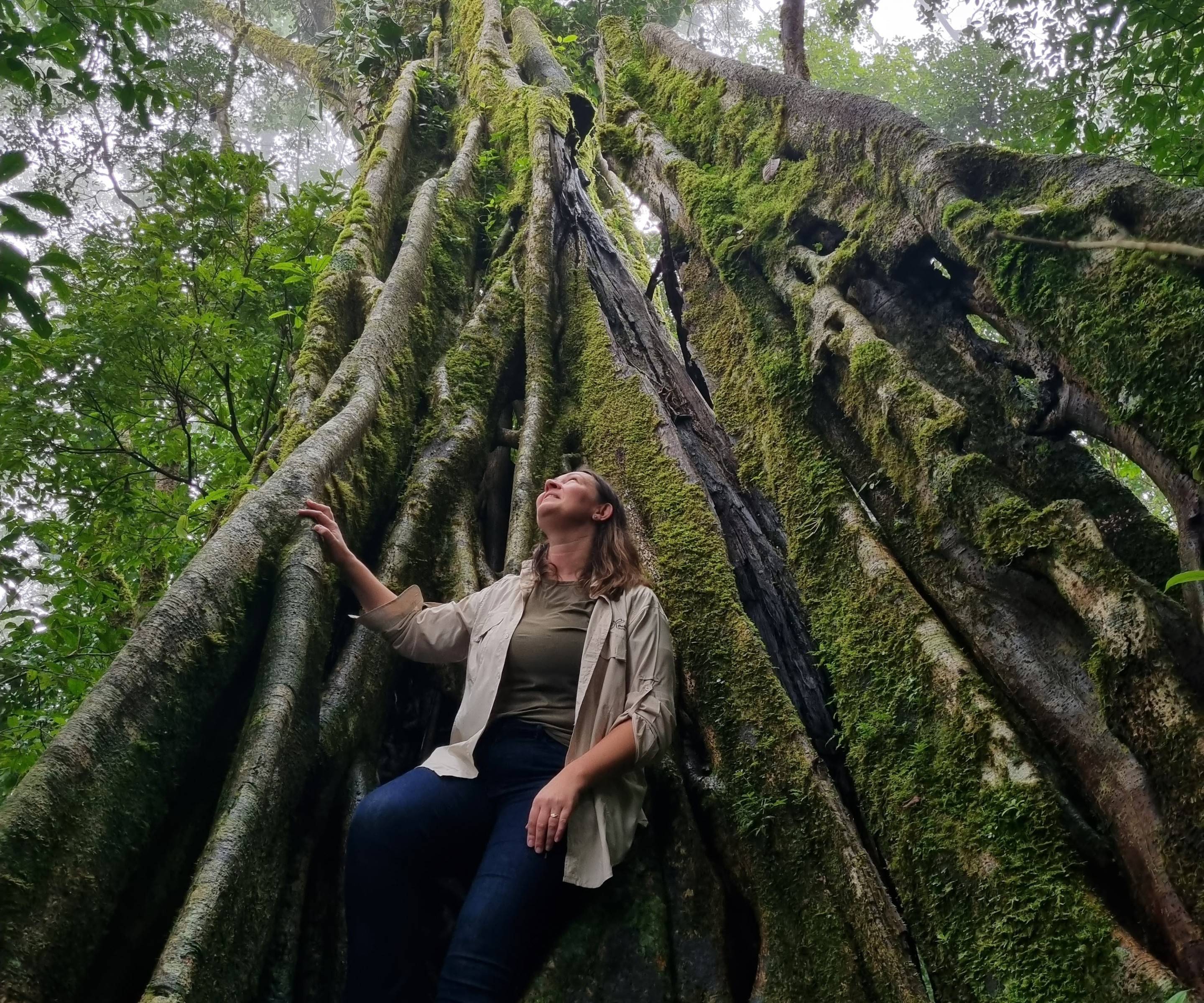 Monteverde en het nevelwoud