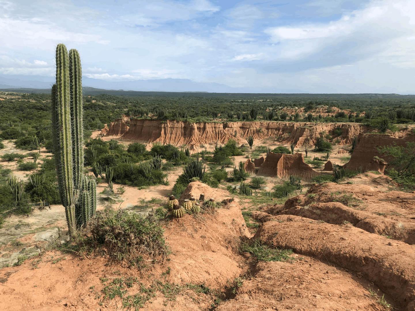 Deserto, stelle e vestigia del Miocene.
