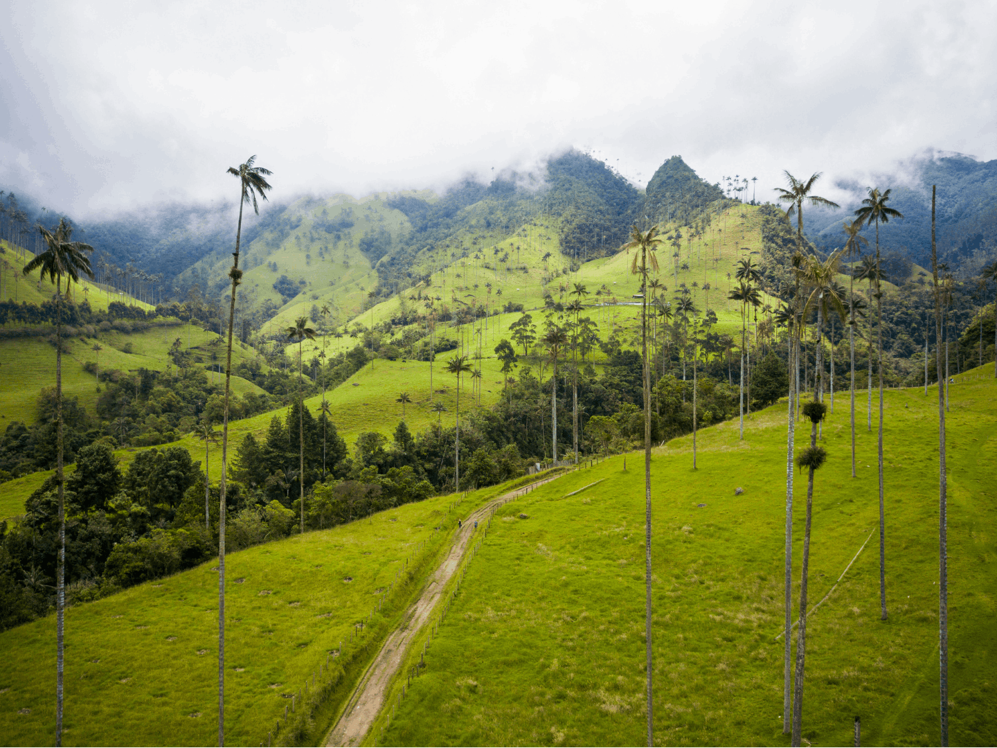 Tipico villaggio coloniale e la palma da cera, simbolo nazionale della Colombia