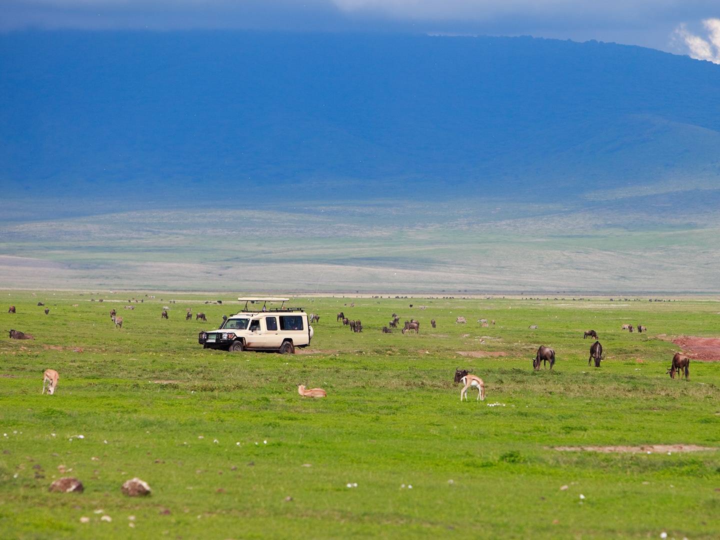 Ngorongoro Krater – Arusha