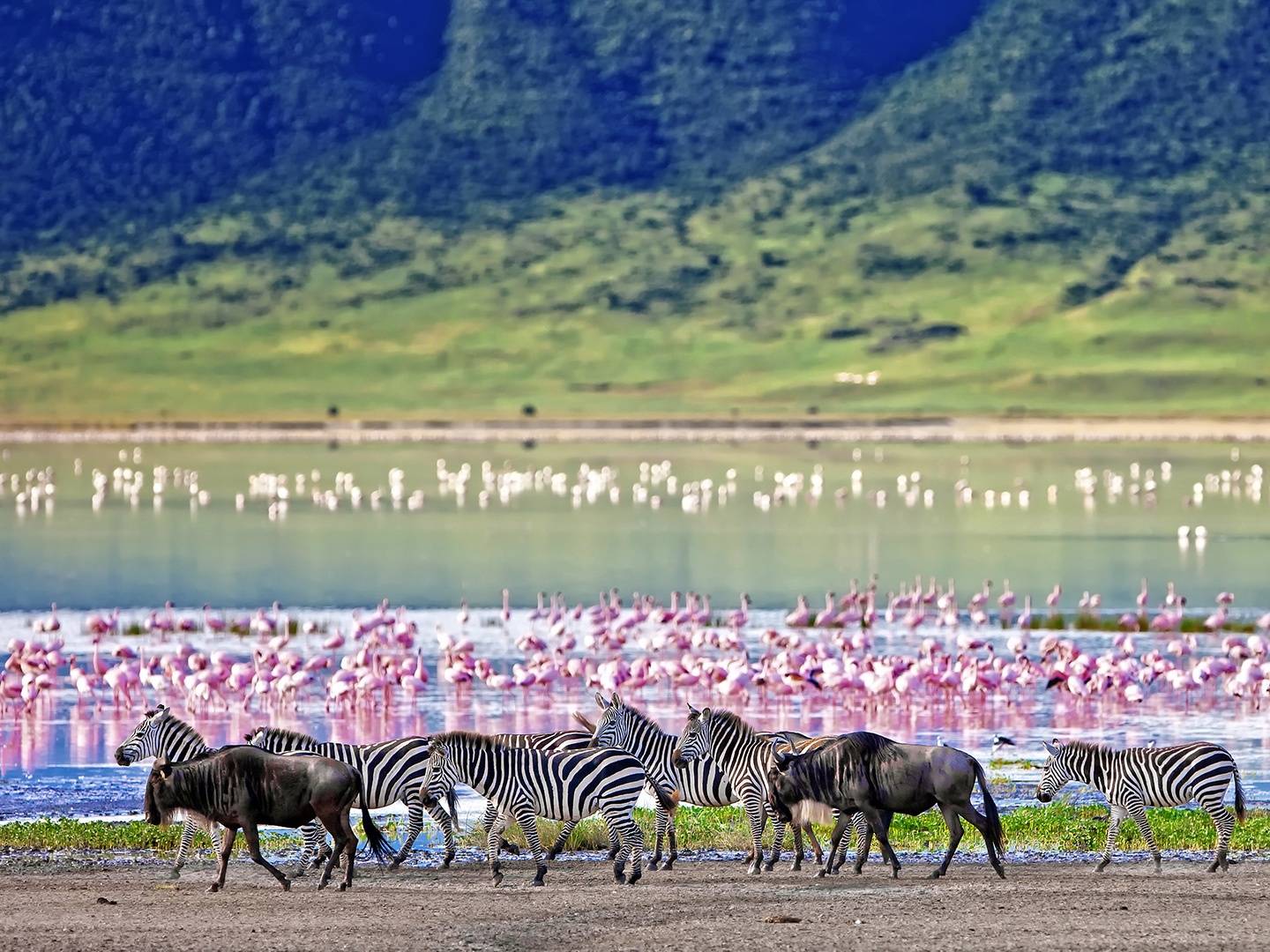 Serengeti National Park – Ngorongoro