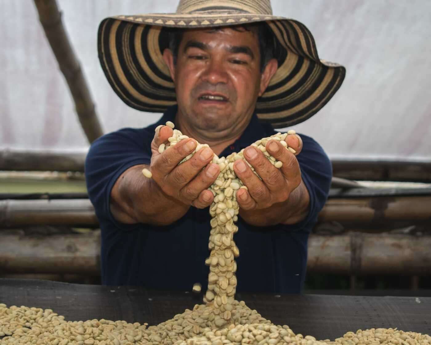 De Bogotá a San Agustín y un cafecito en el Macizo Colombiano
