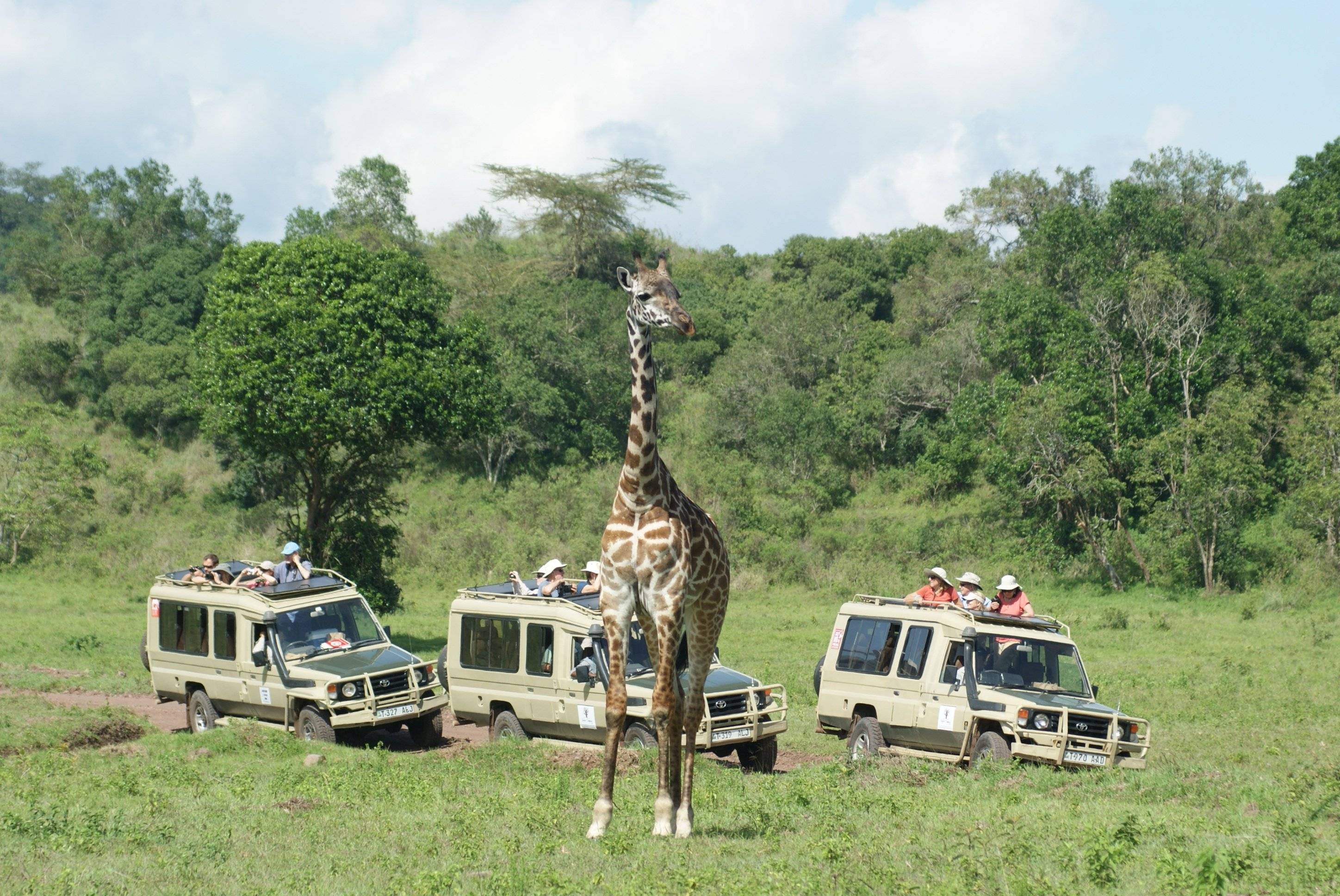 Ontdek Arusha National Park 