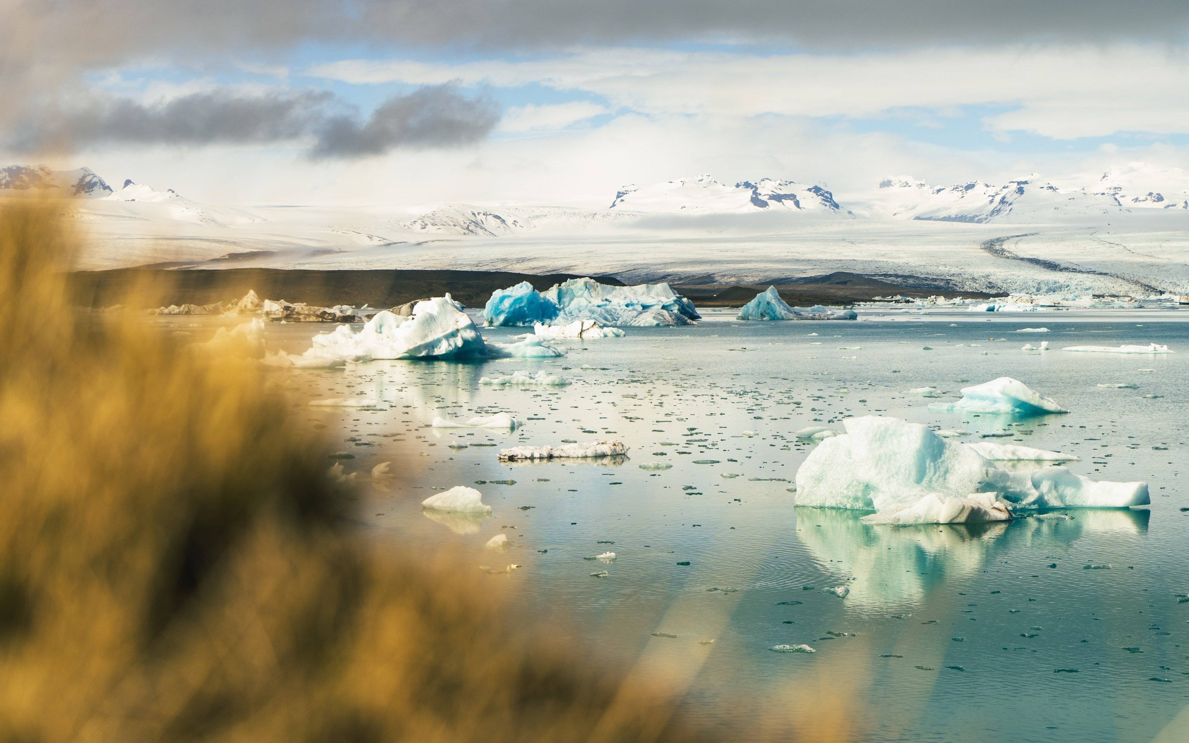 ​Balade autour des icebergs de Jökulsárlón et du glacier Vatnajökull