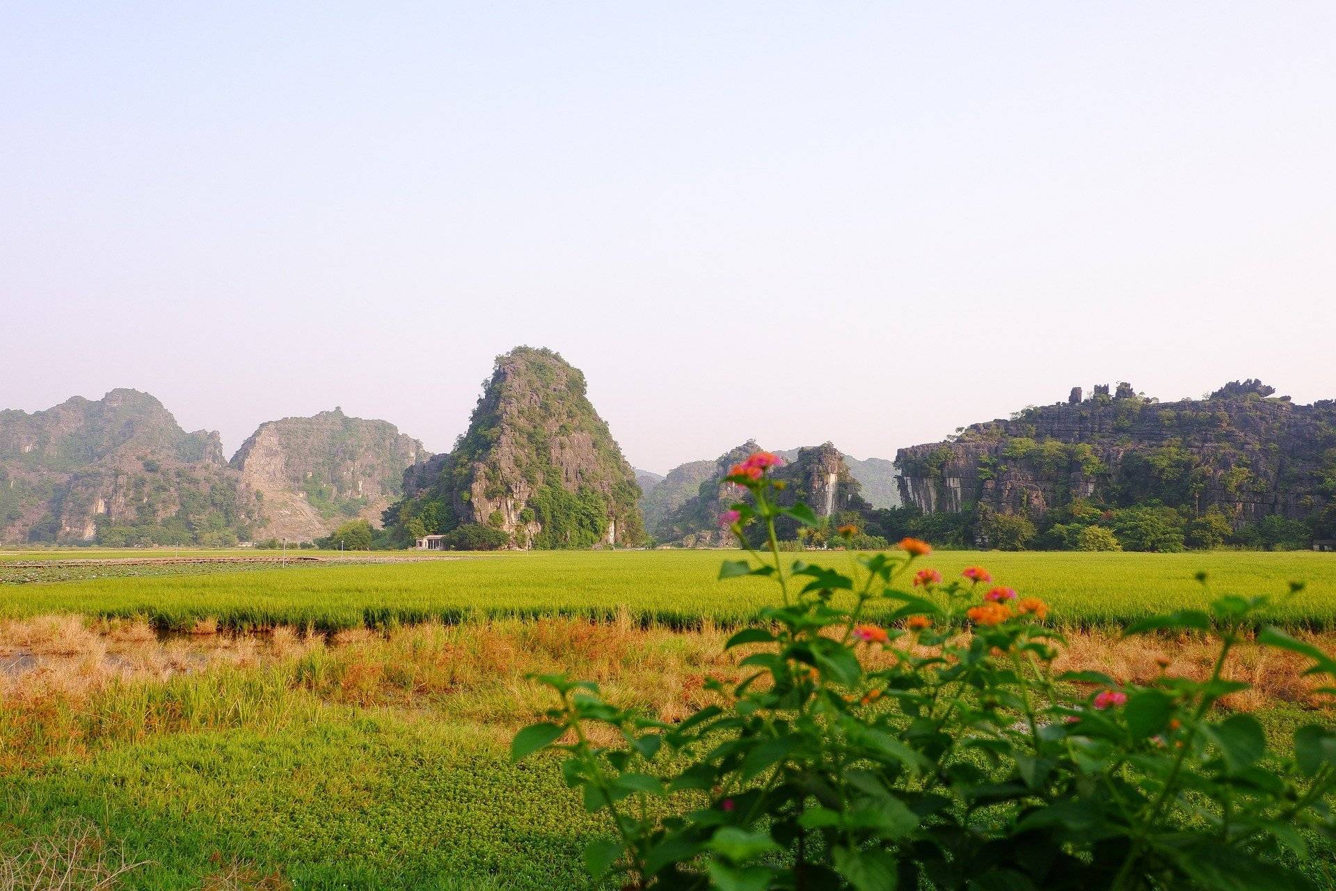Fahrt nach Ninh Binh & Besuch des Naturreservates Van Long