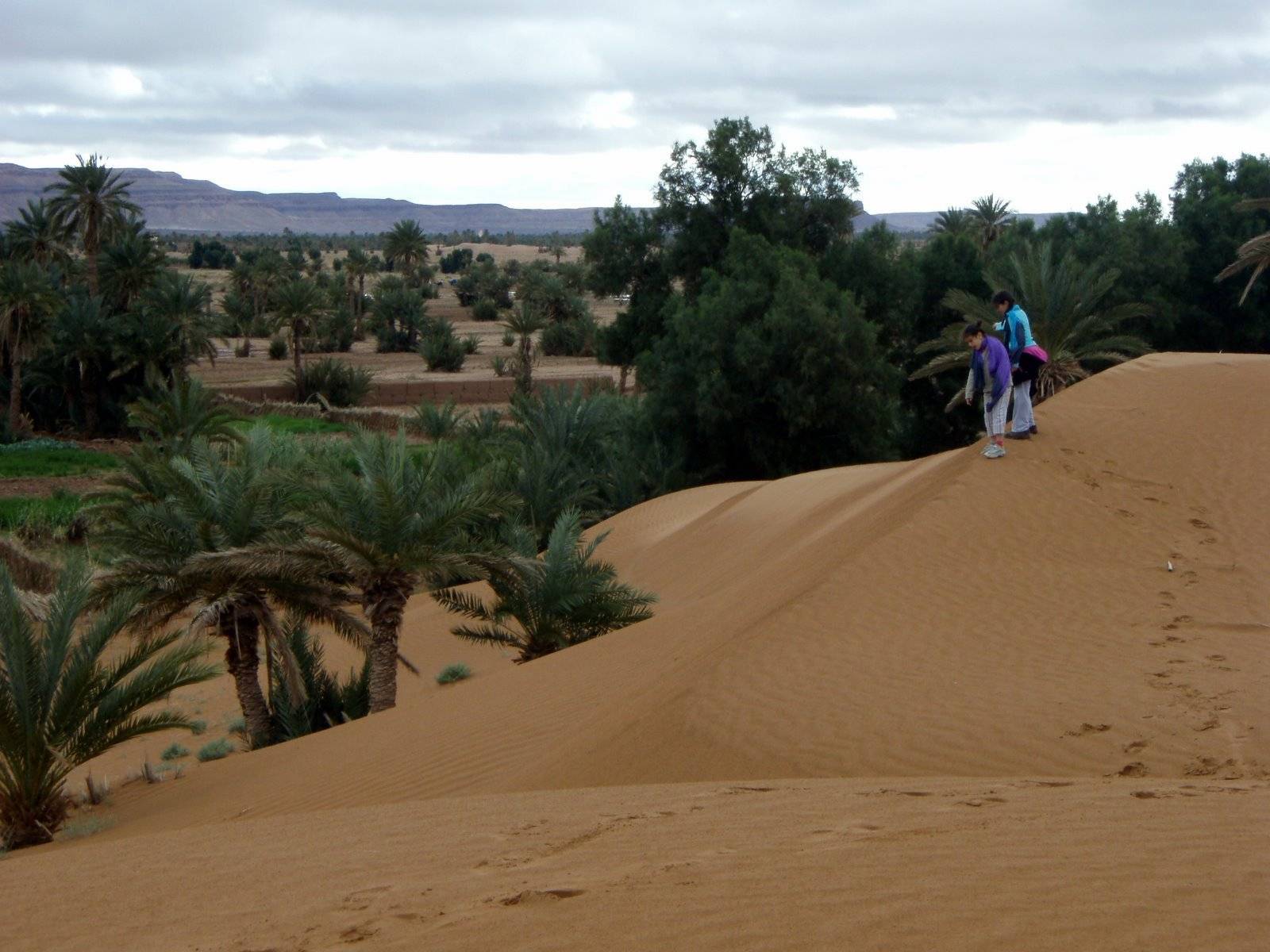 Villages et ksour sahariens