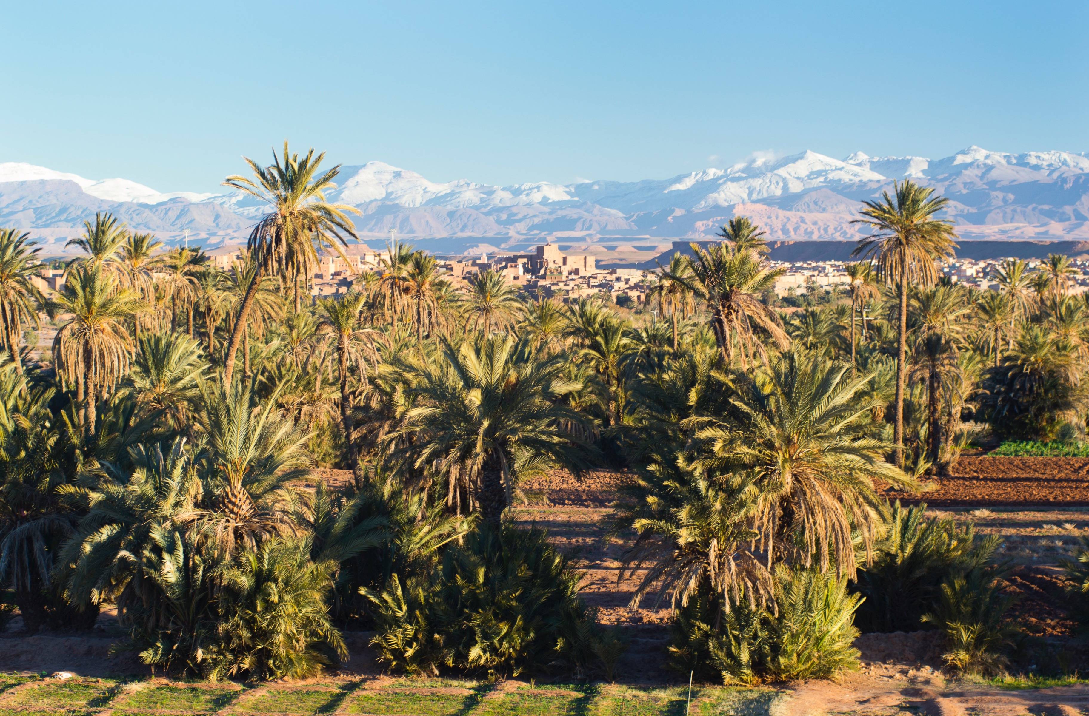 Da Marrakech alla Valle del Drâa.