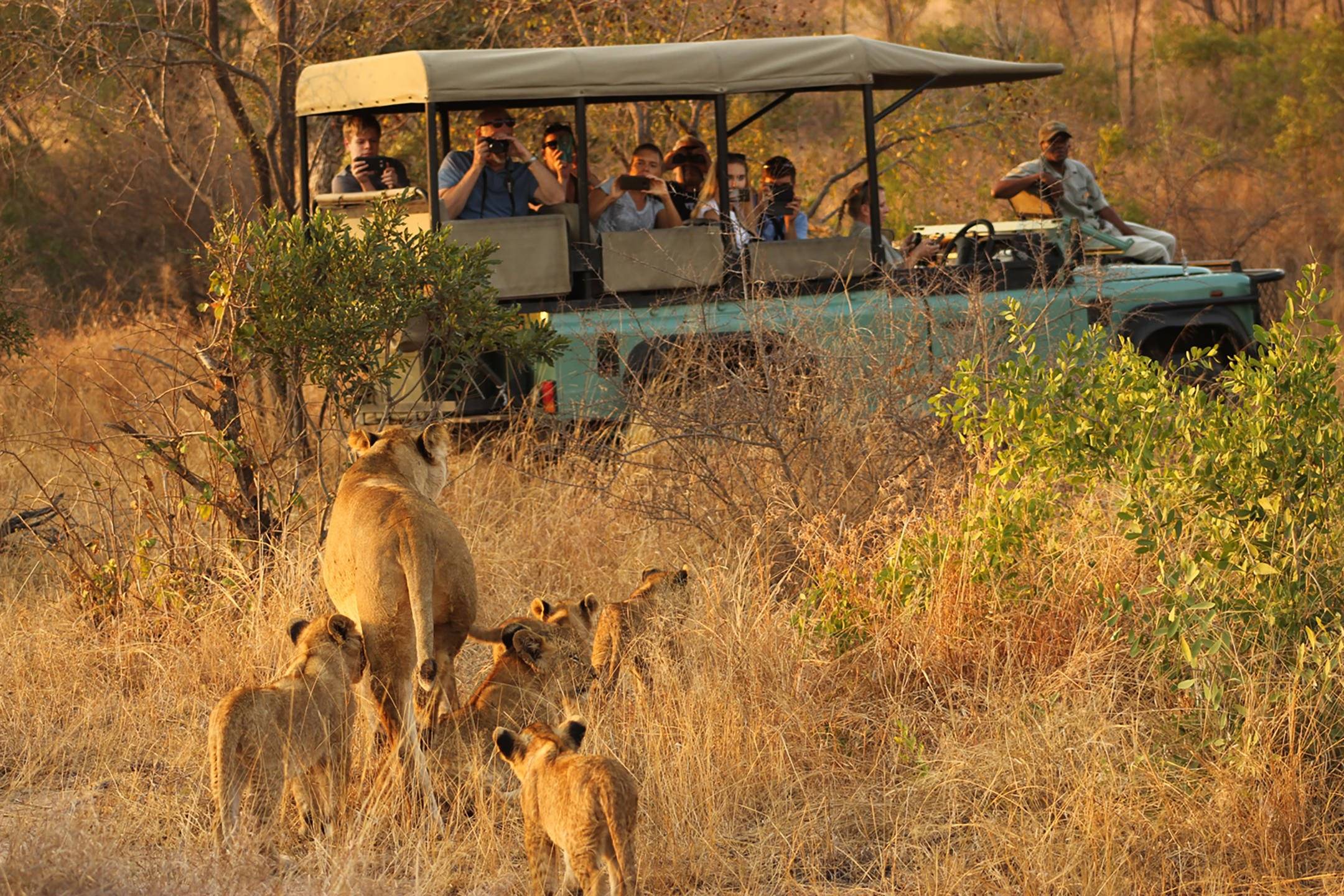 Zum berühmten Krüger-Nationalpark für Ihre Big-5-Safari