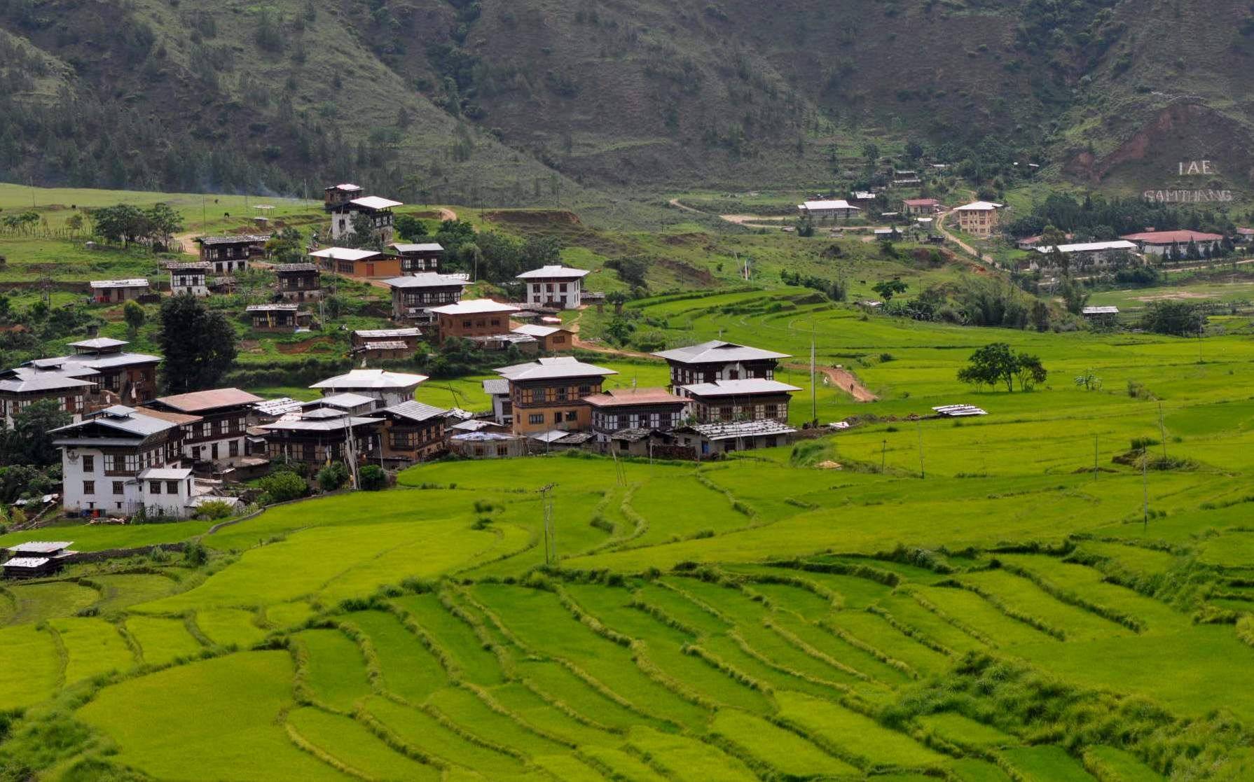 Visite du dzong du Punakha 