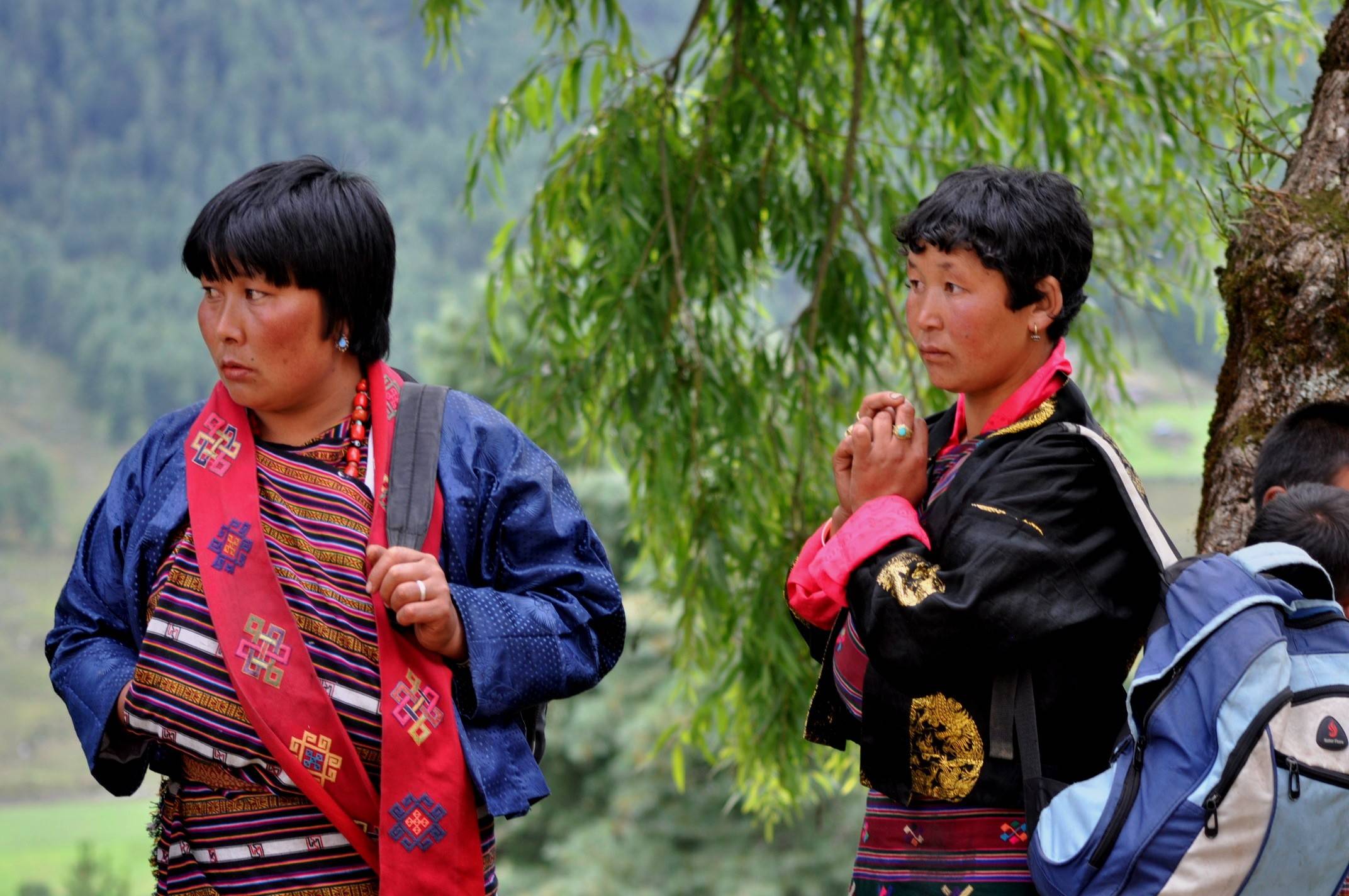 Dzong et Rizières 