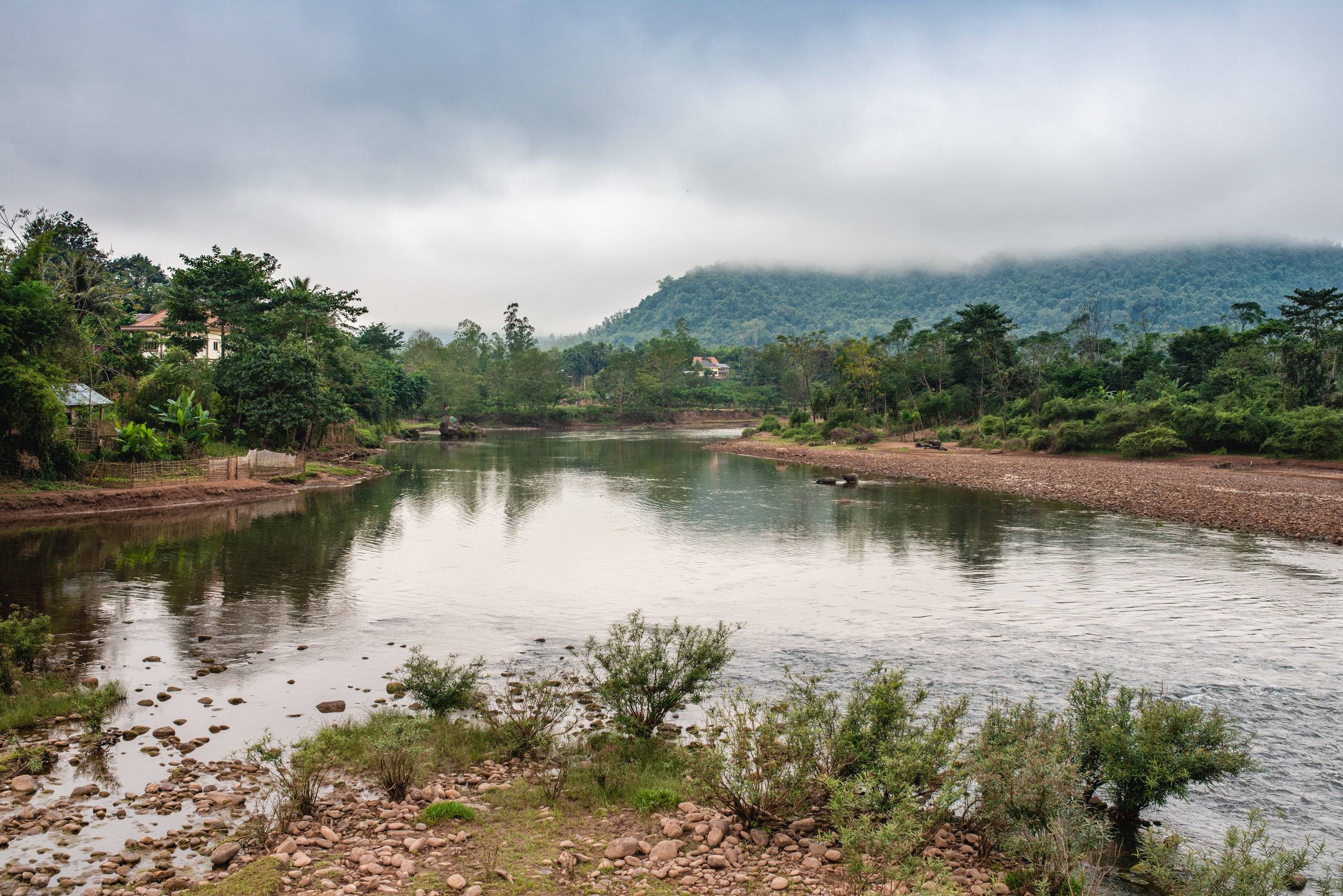 Nature et sérenité du nord Laos