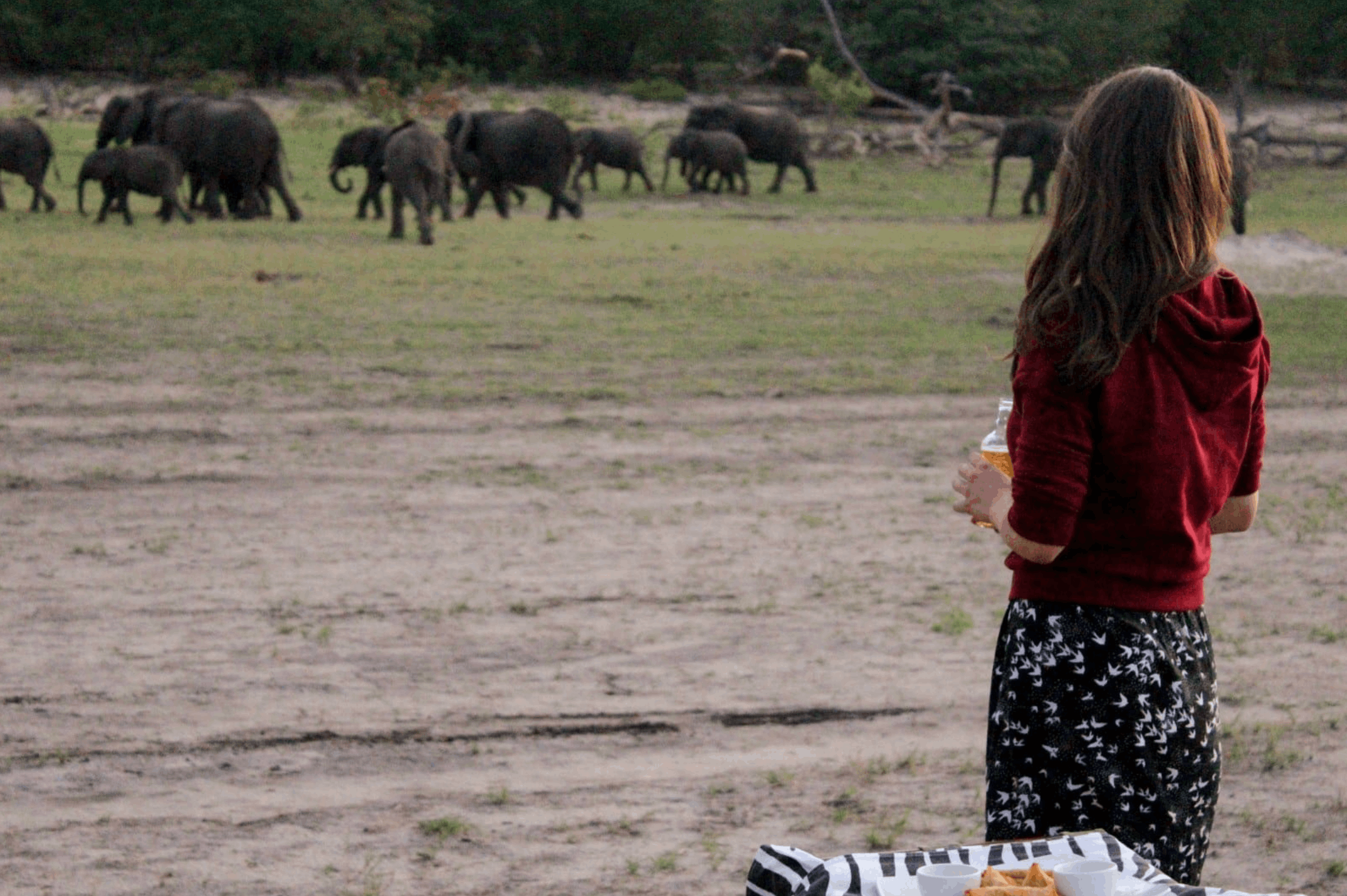 Auf Safari im Hwange-Nationalpark von Simbabwe