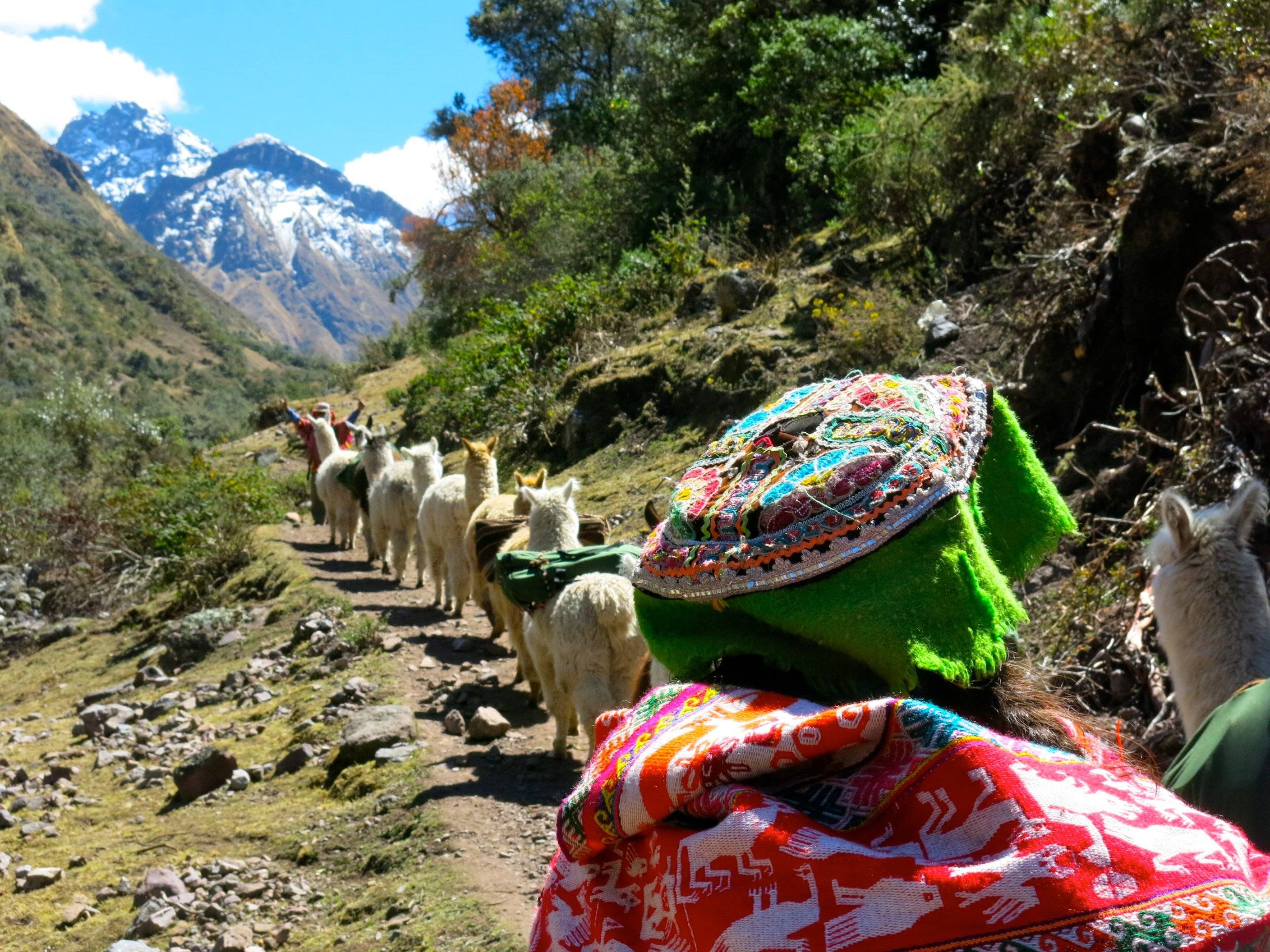 Randonnée solidaire avec des lamas dans la vallée sacrée des Andes