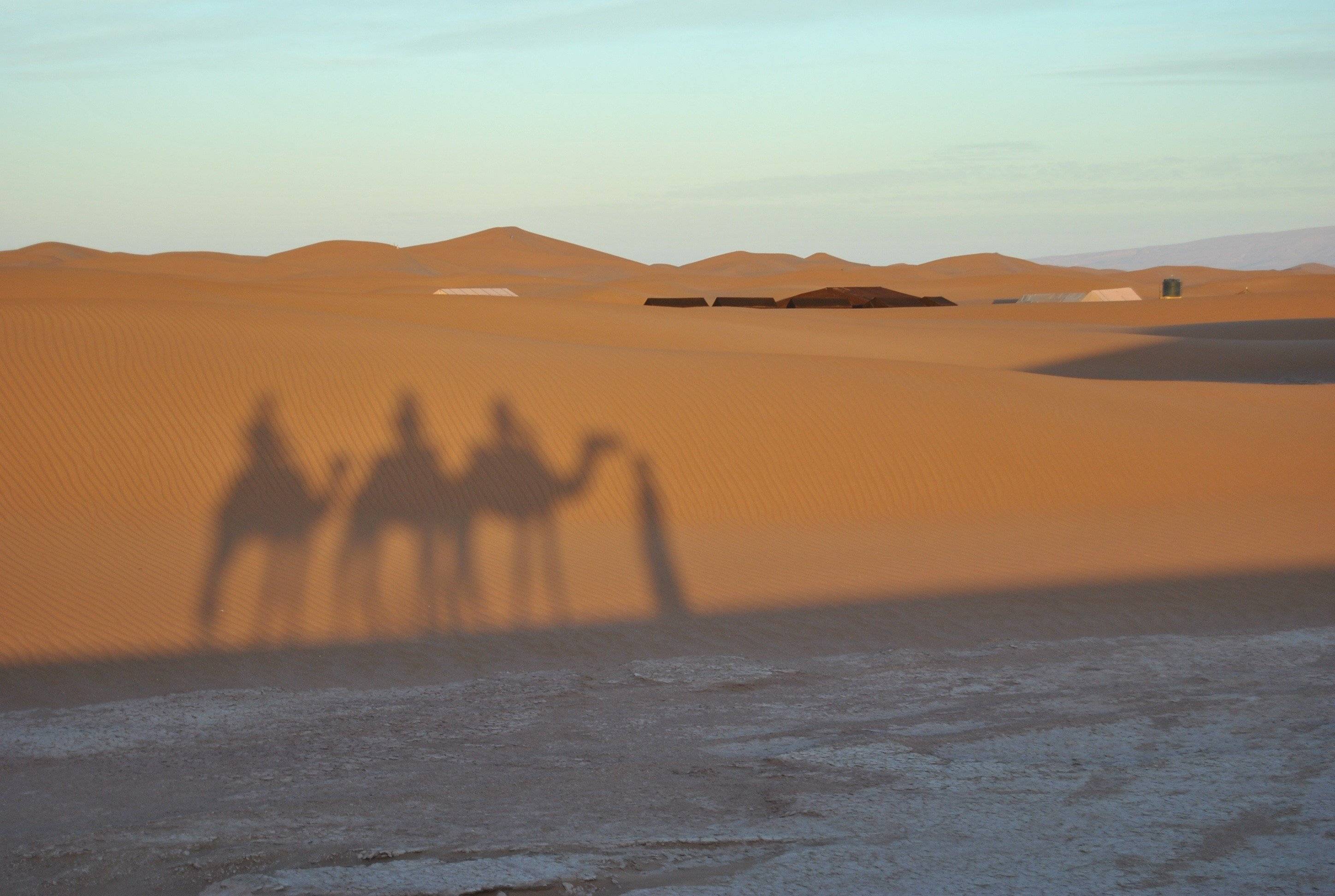 Kamperen in de woestijn