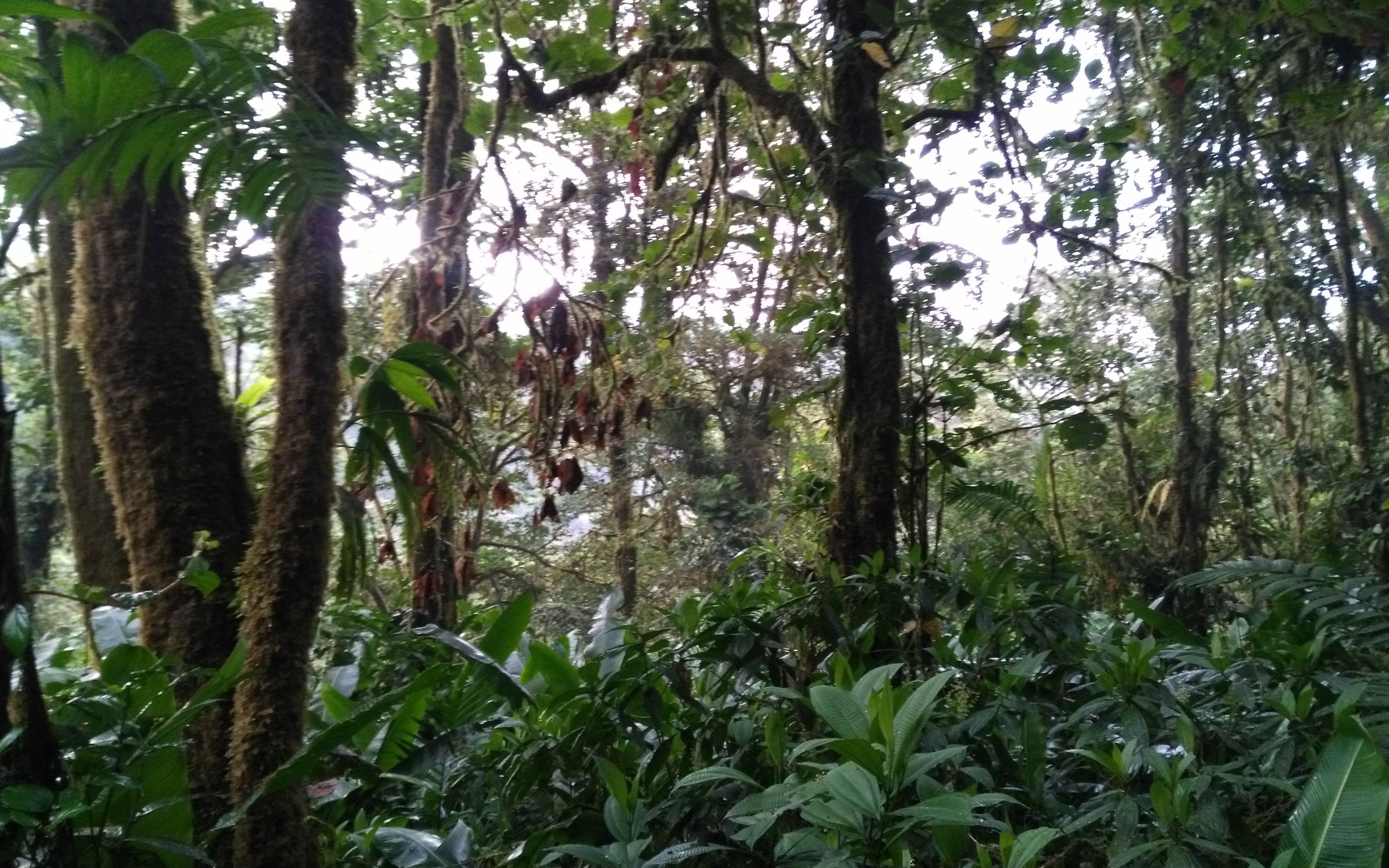 Trasferimento a Monteverde
