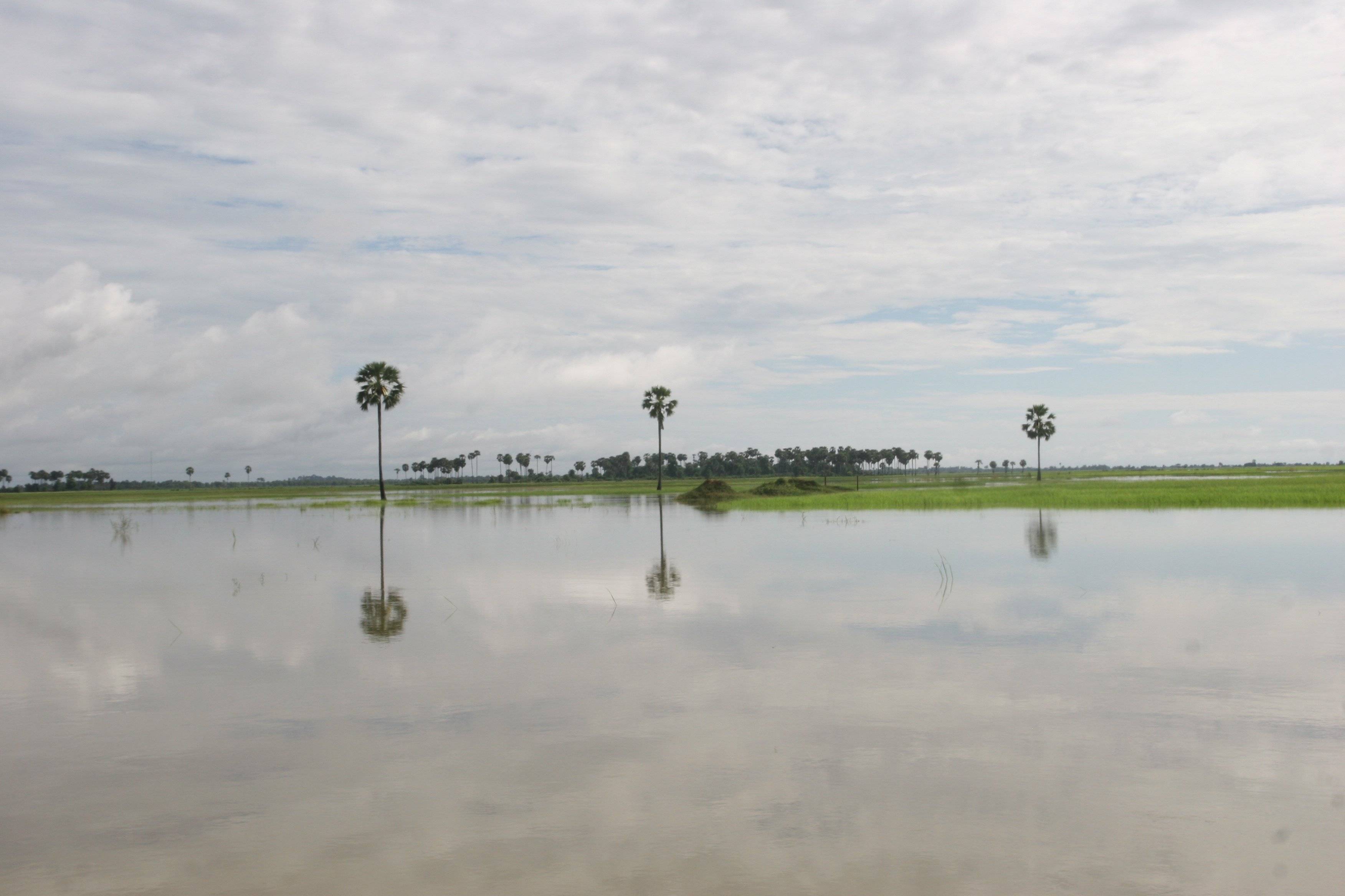Vida rural, ríos y pagodas de ​Battambang
