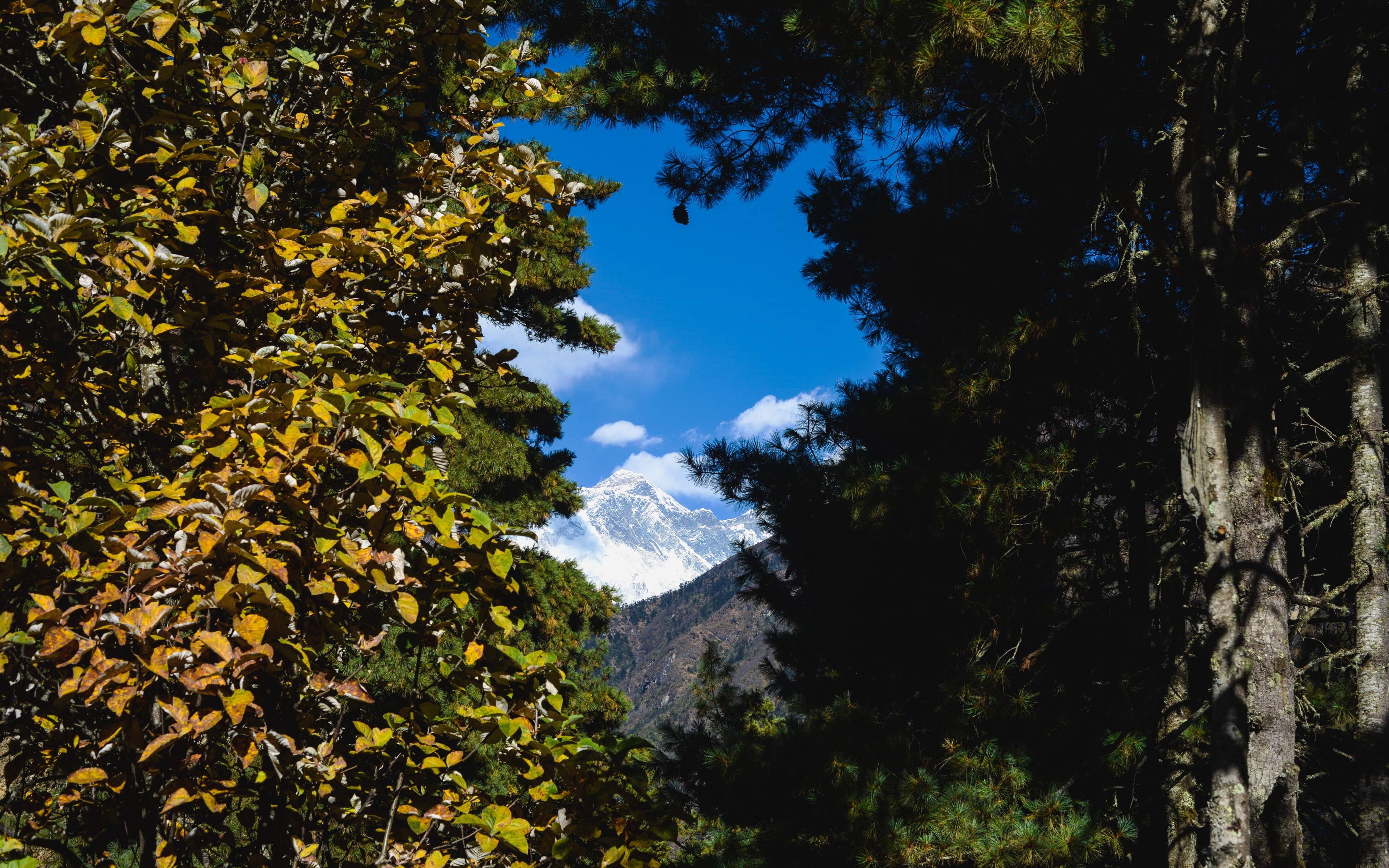 Randonnée à la découverte des hauteurs népalaises