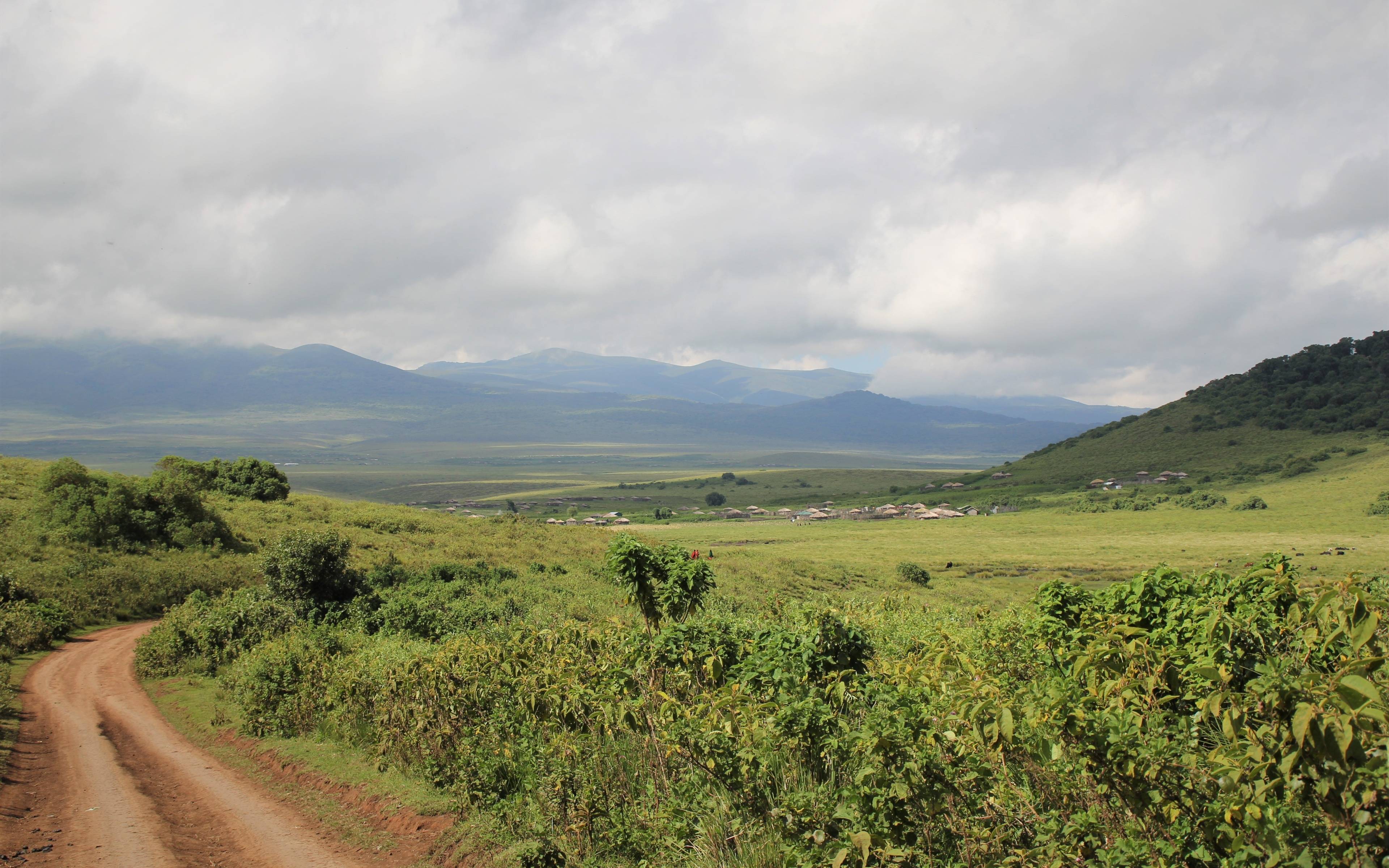 Van de uitgestrekte vlaktes naar de hooglanden van de Ngorongoro