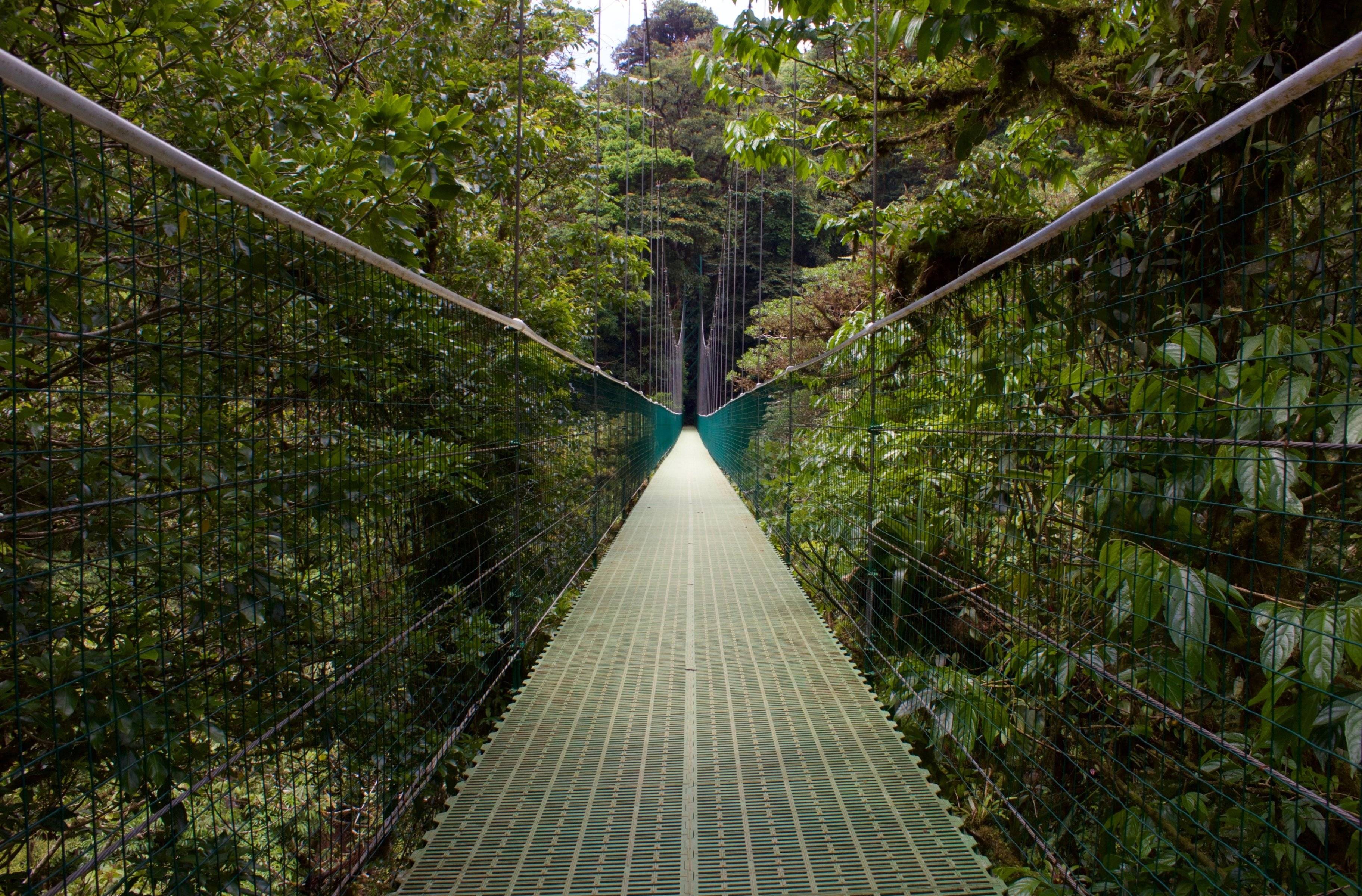 Visite du parc national Manuel Antonio et départ vers Monteverde