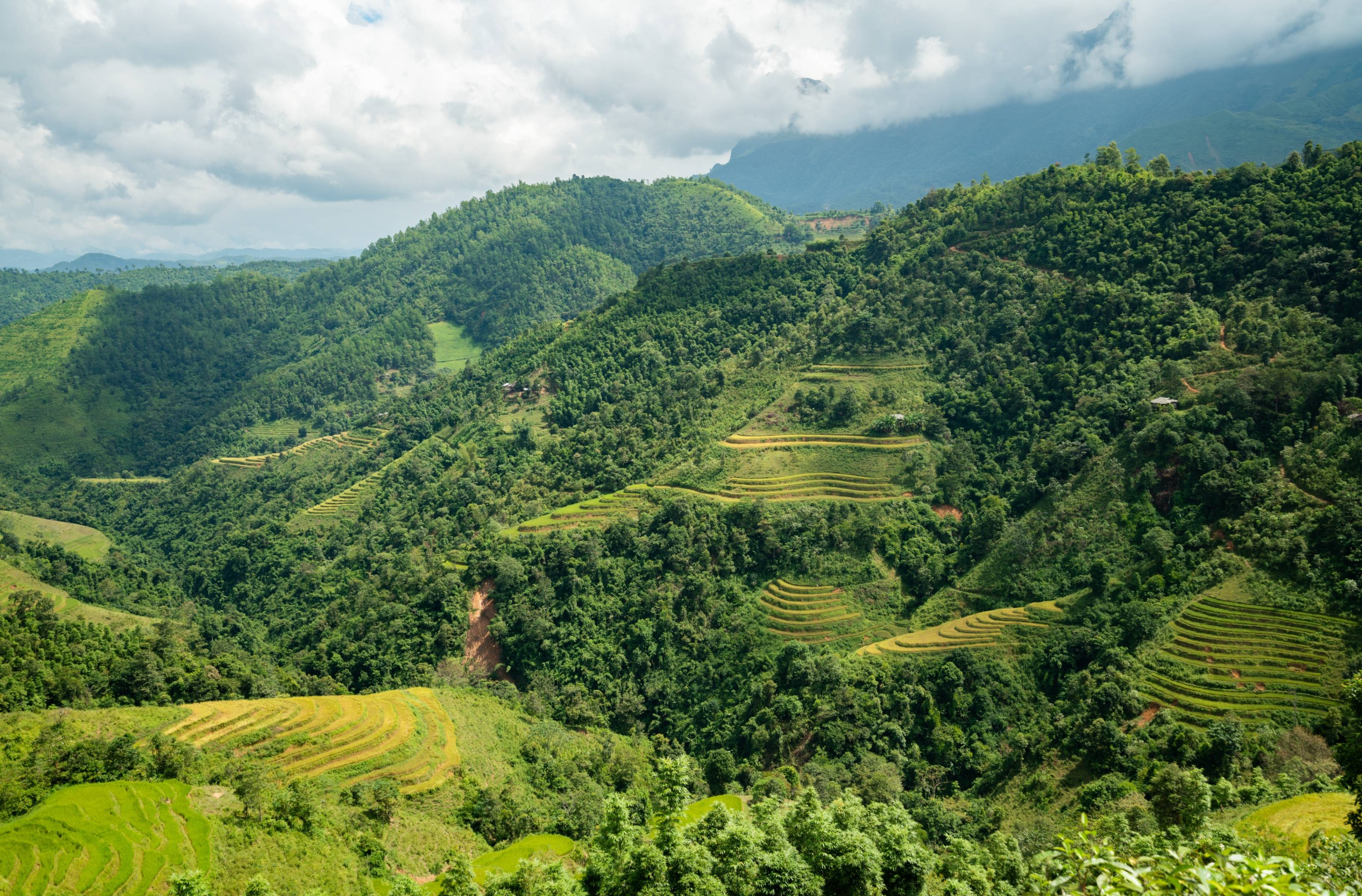 La vallée de Muong Hoa : trekking à travers les villages du nord