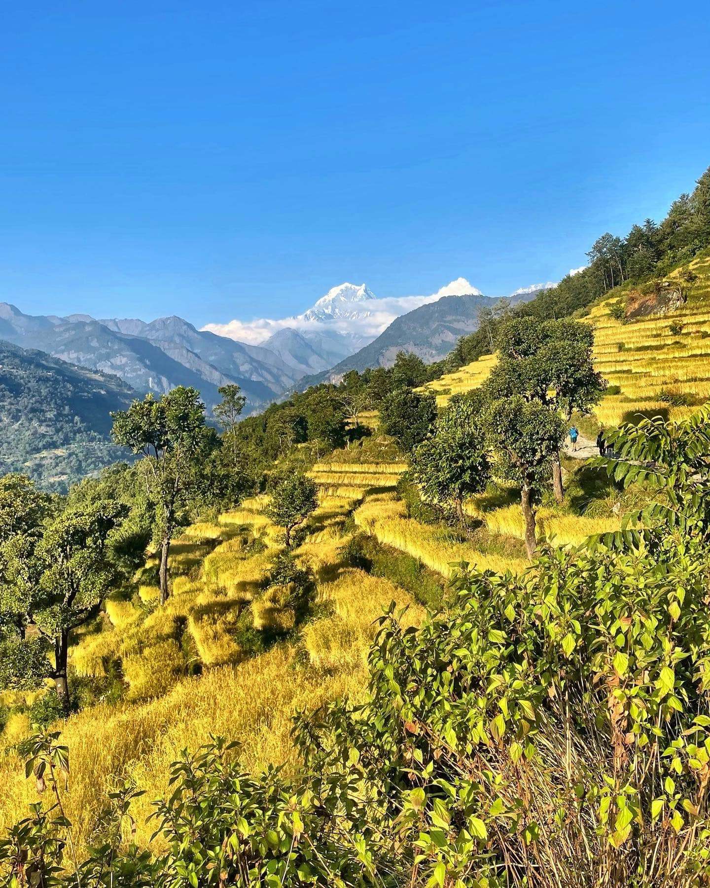Pokhara - Beni – Gomanetal - trek sur Banskharha