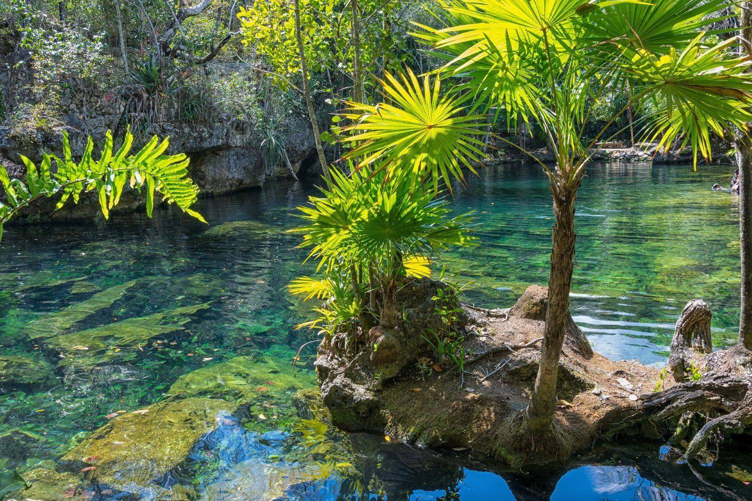 Da Campeche a Merida tra cappelli Panama e un cenote nascostoSELVA
