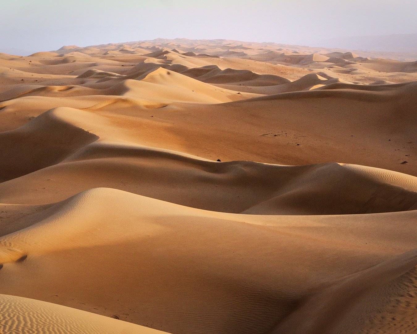 Las dunas de Wahiba
