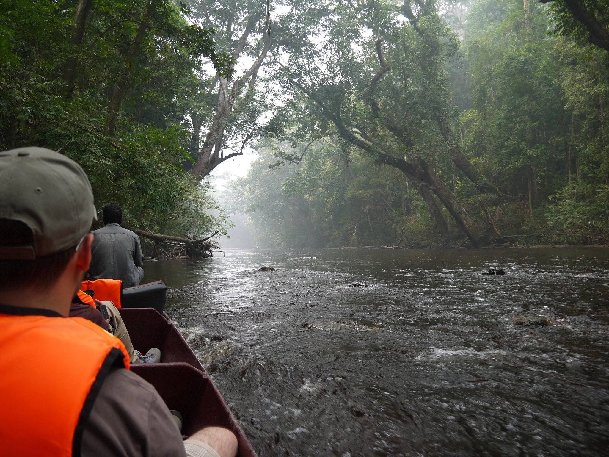 Trekking, ponti sospesi & navigazione del fiume in canoa
