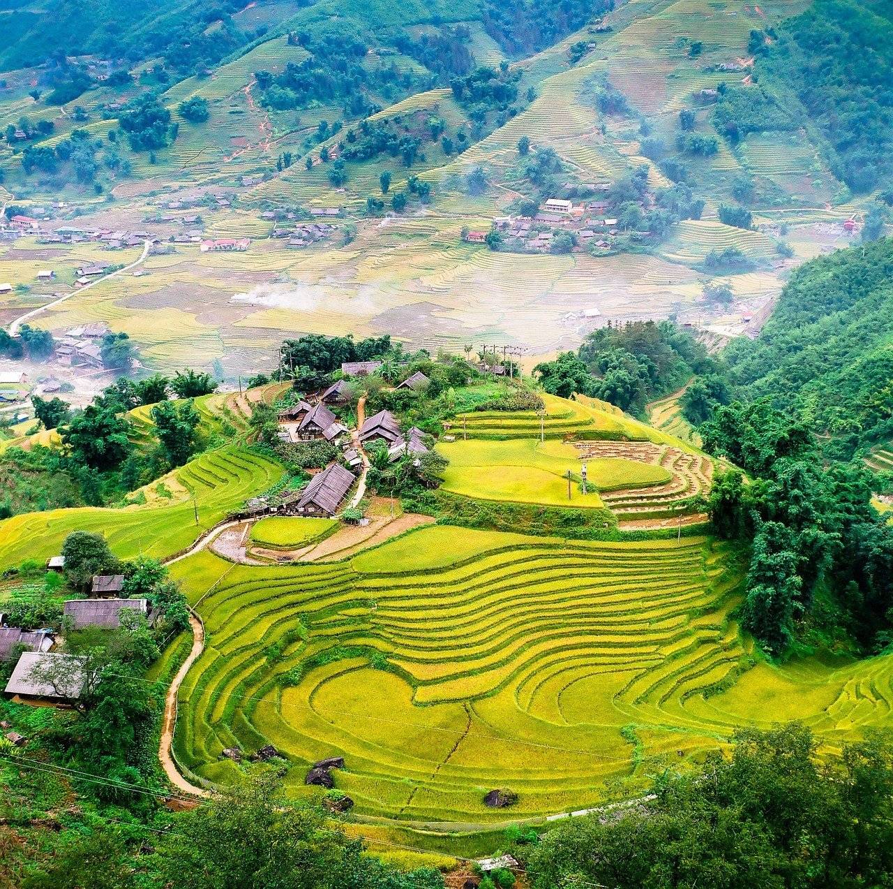 Panorama sur la vallée des rizières en terrasse