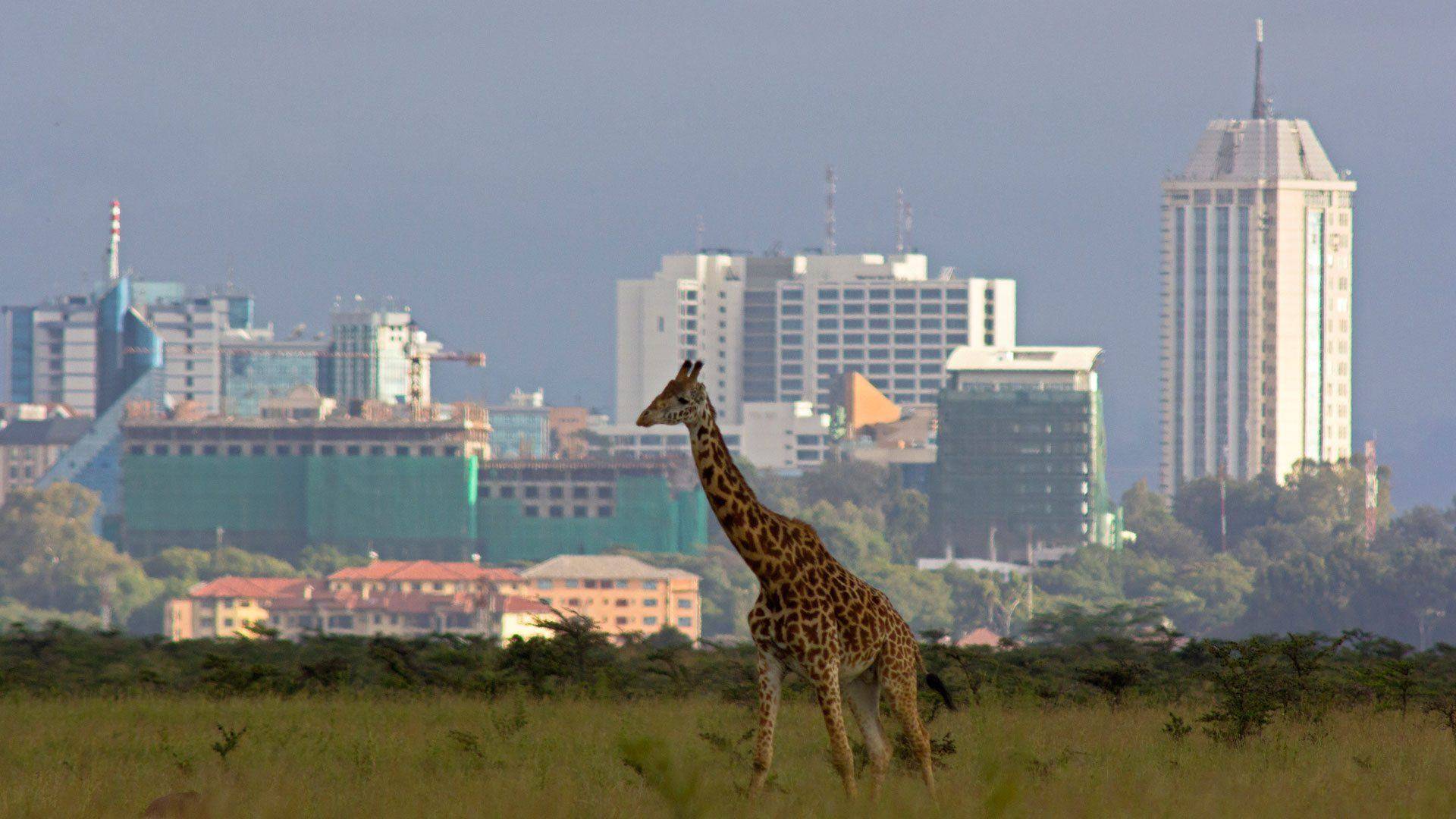 Arrivée à Nairobi