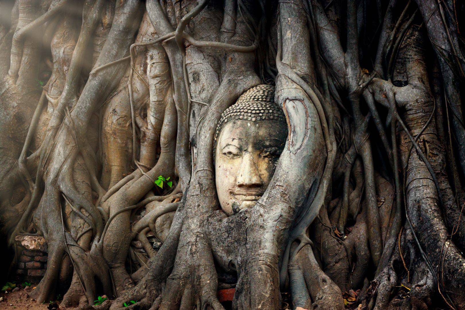 Het historische park van Ayutthaya (UNESCO Werelderfgoed)