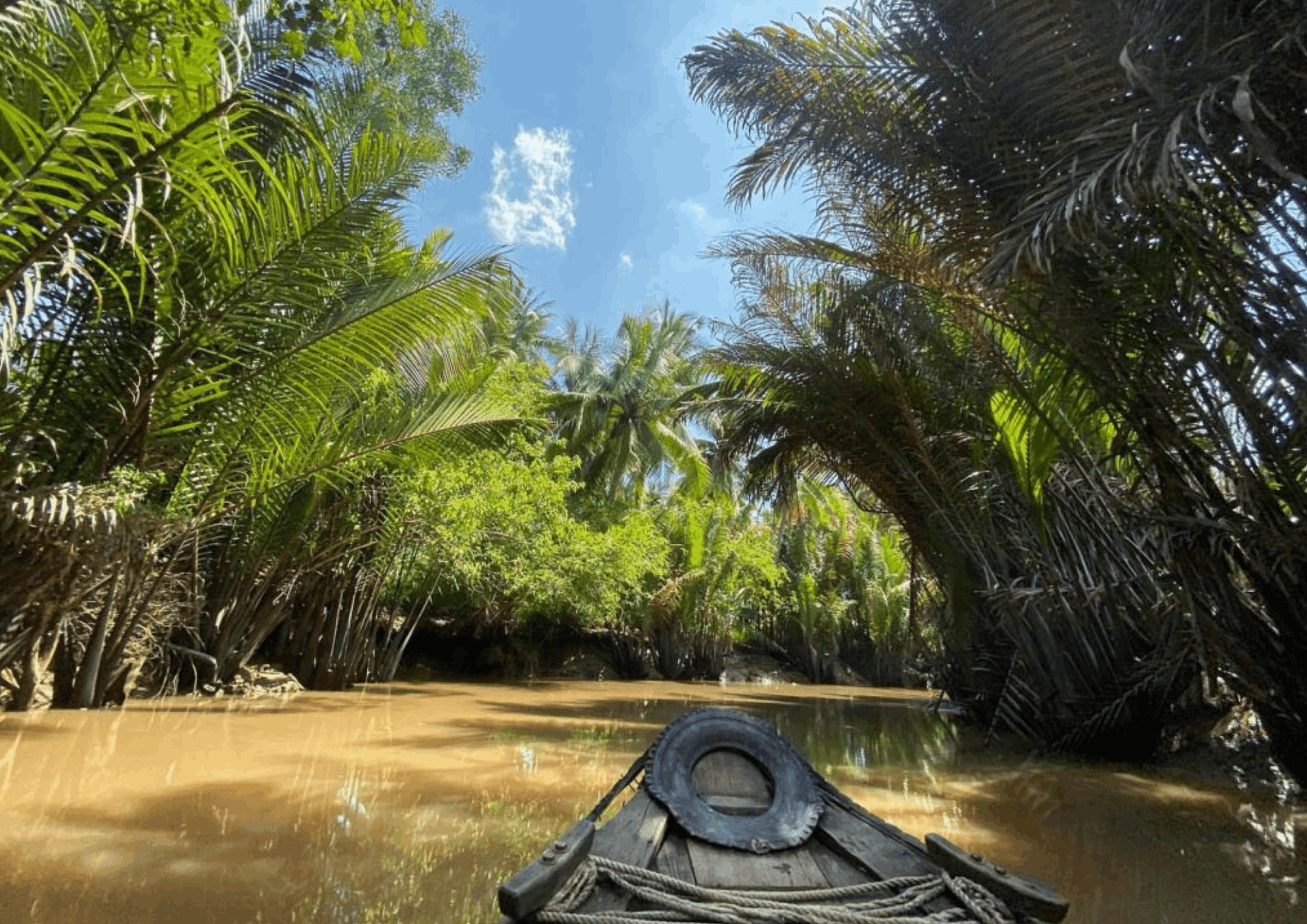 Crociera sul delta del Mekong