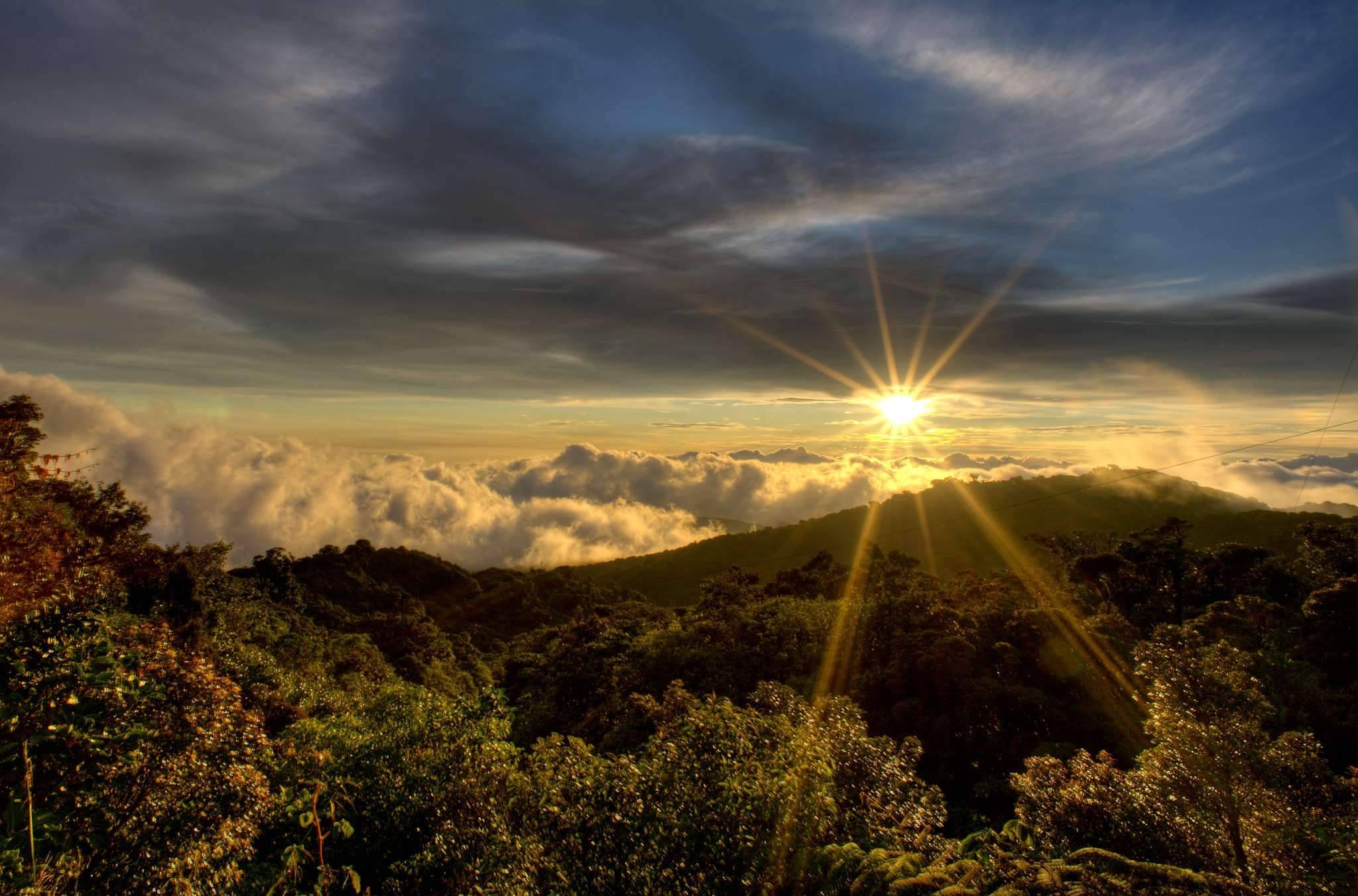 Aventúrate en las montañas nubosas de Monteverde
