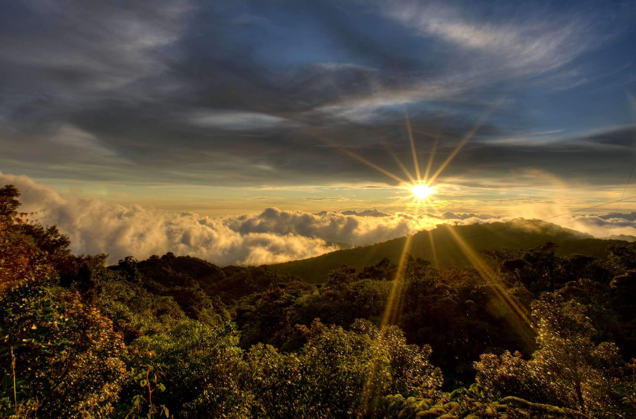 Aventúrate en las montañas nubosas de Monteverde.