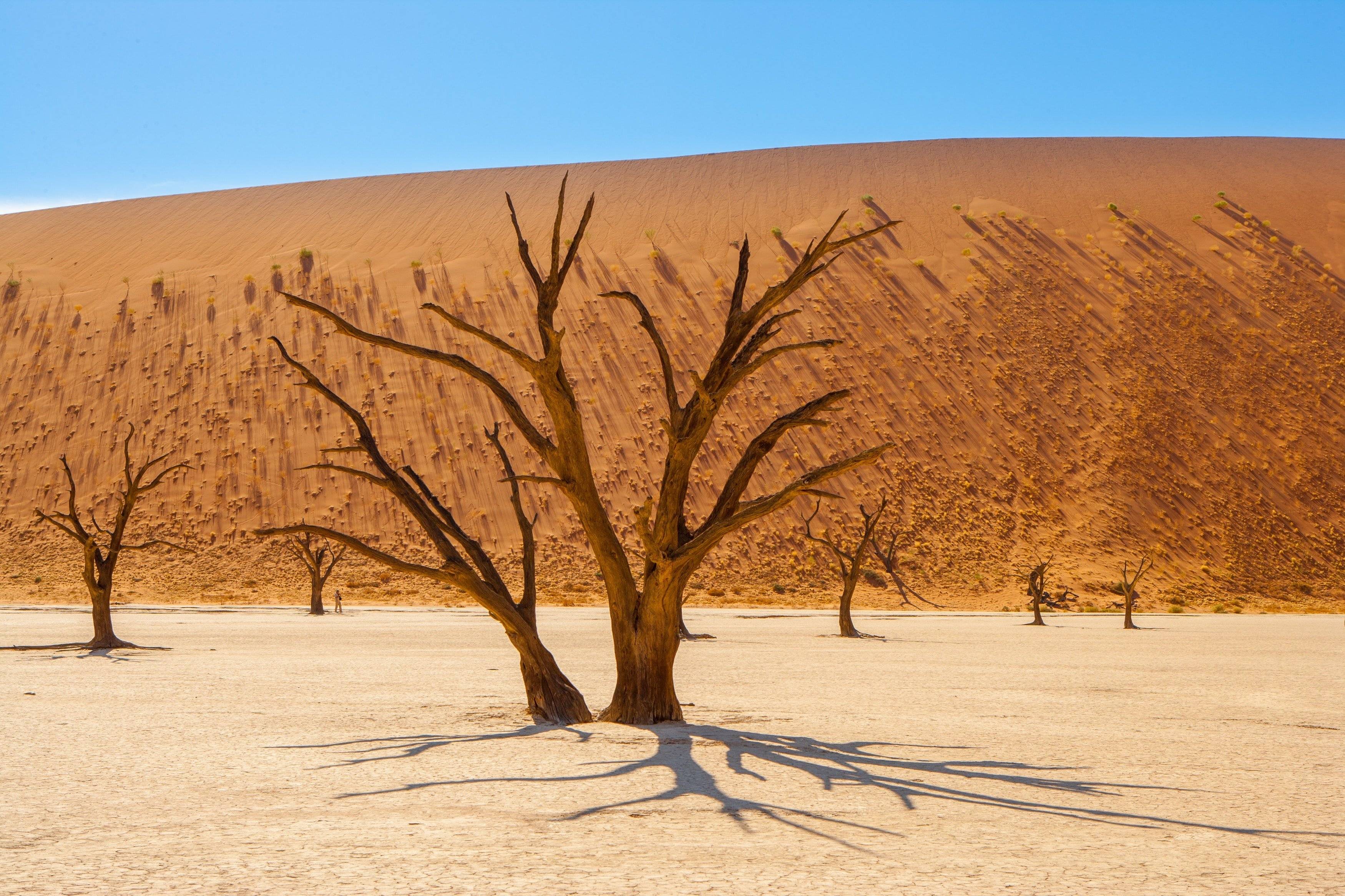 Découverte du désert du Namib
