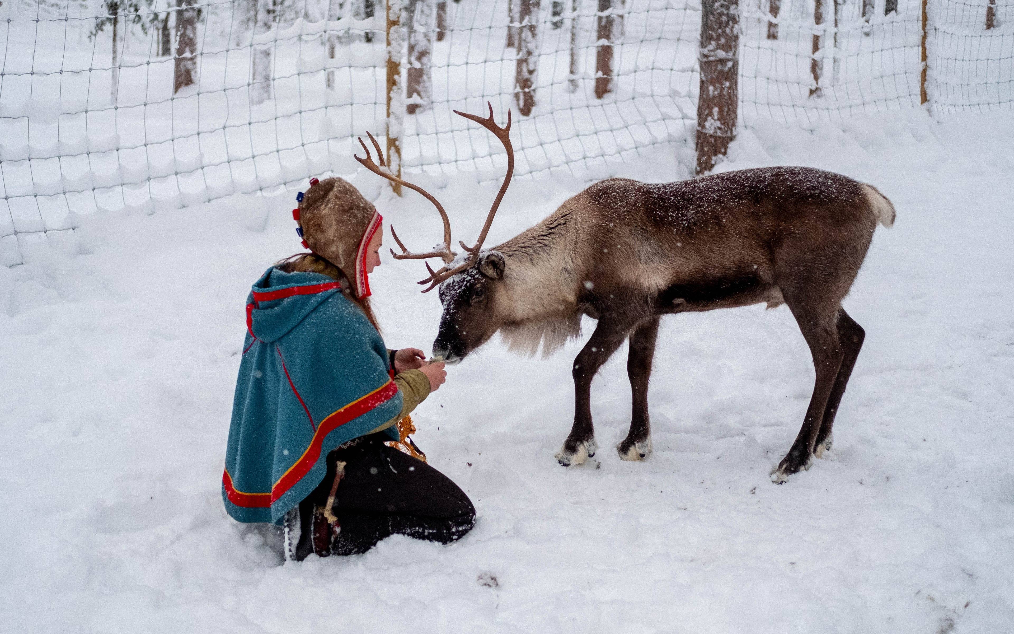 Découverte de Tromsø et rencontre avec le peuple Sami
