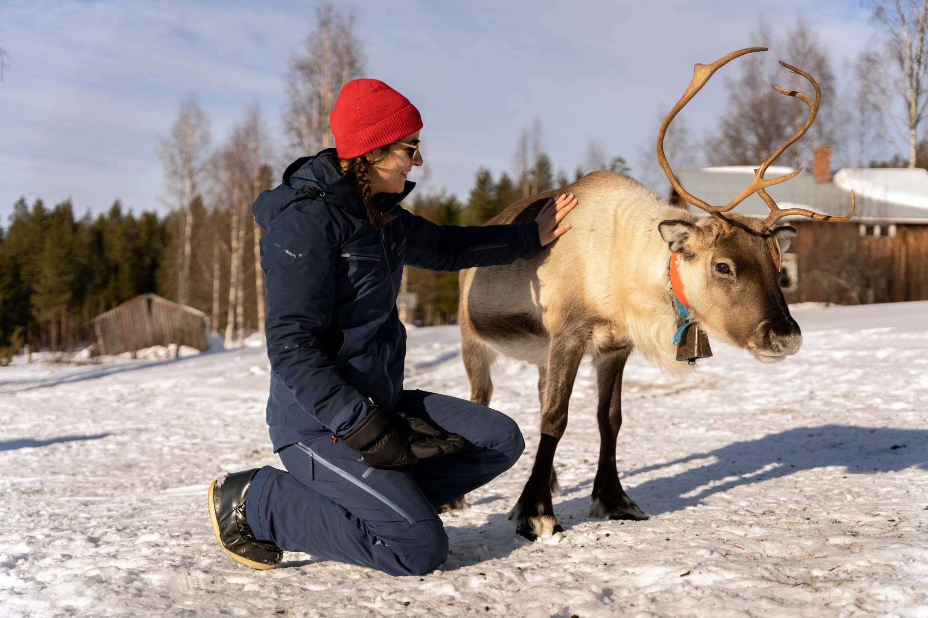 Rencontre avec une famille samie et leurs rennes