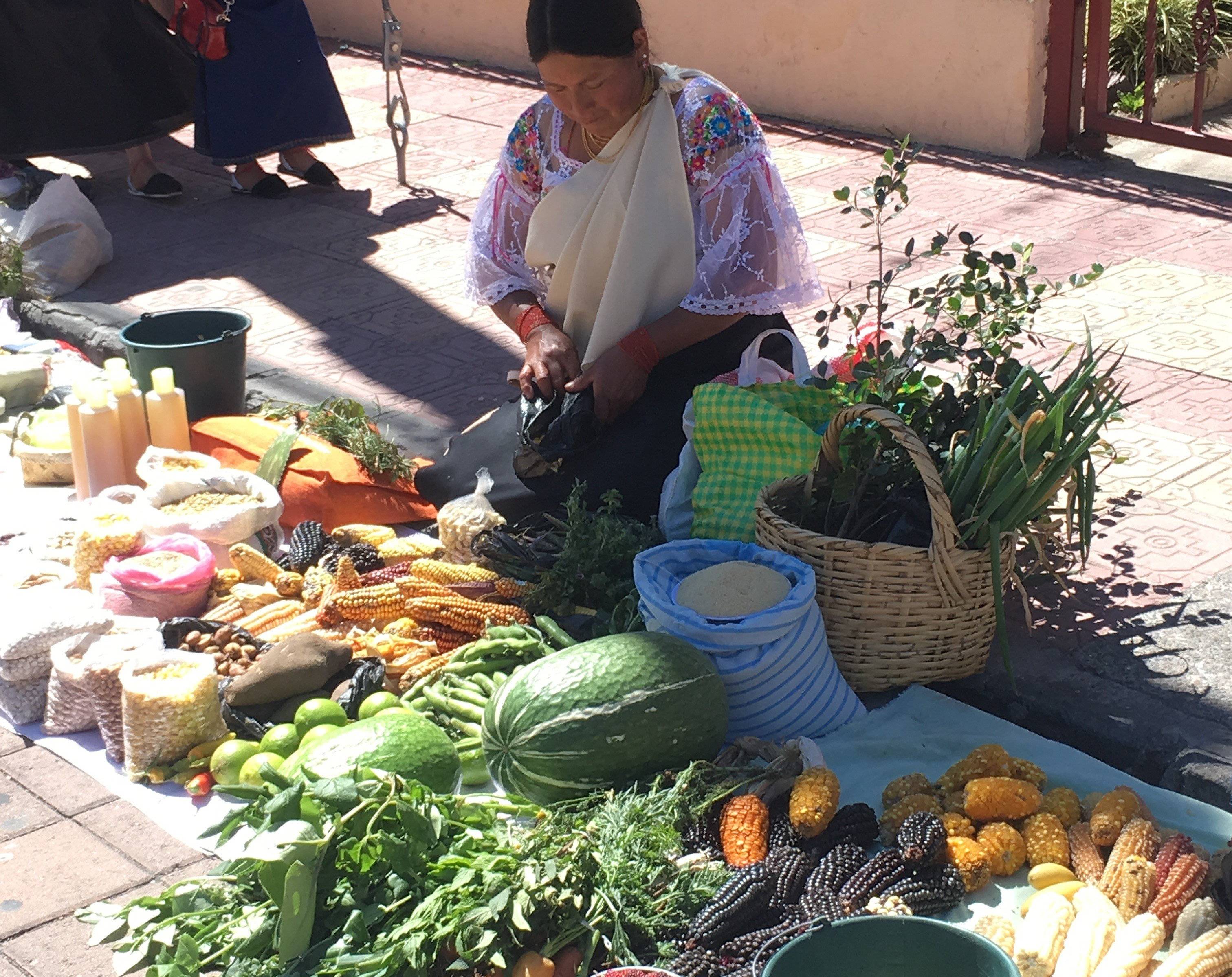 Du marché d’Otavalo à l’Allée des volcans