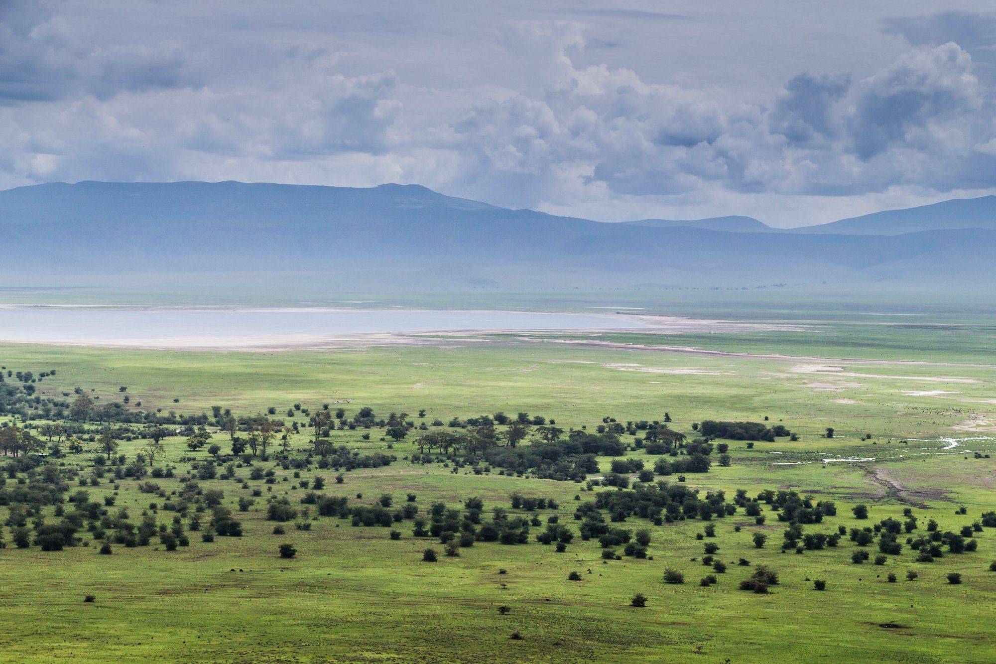 Safari au cœur du mythique cratère du Ngorongoro