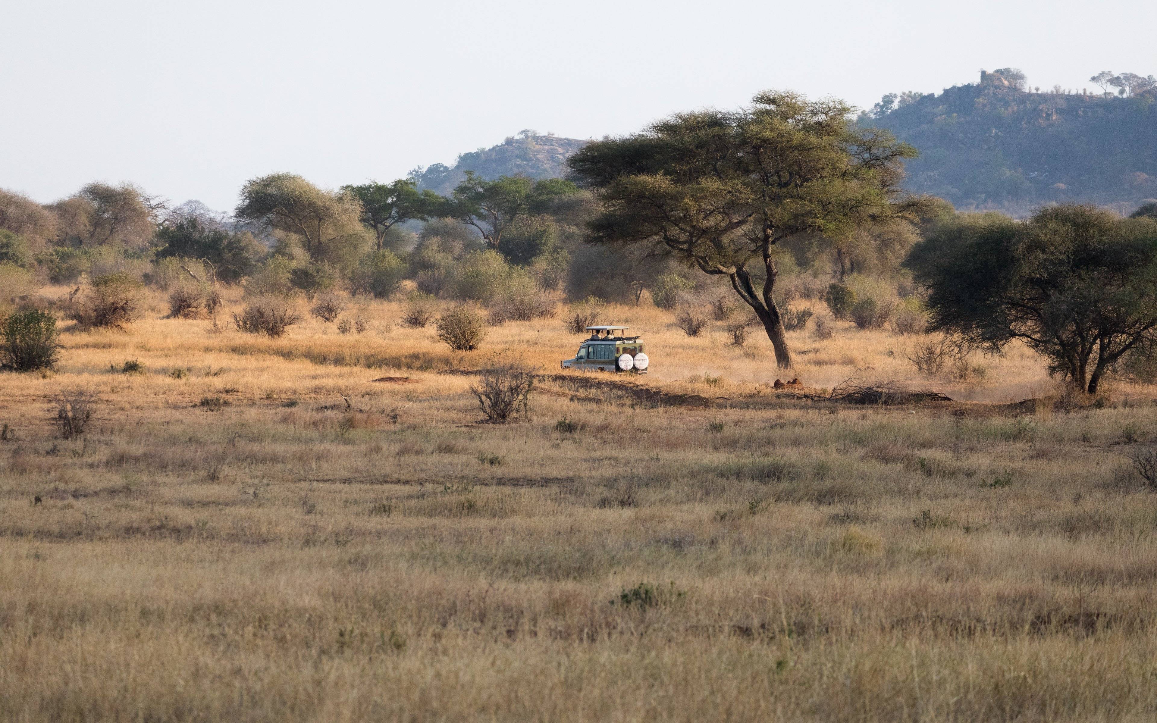 Safari dans les plaines infinies du Serengeti