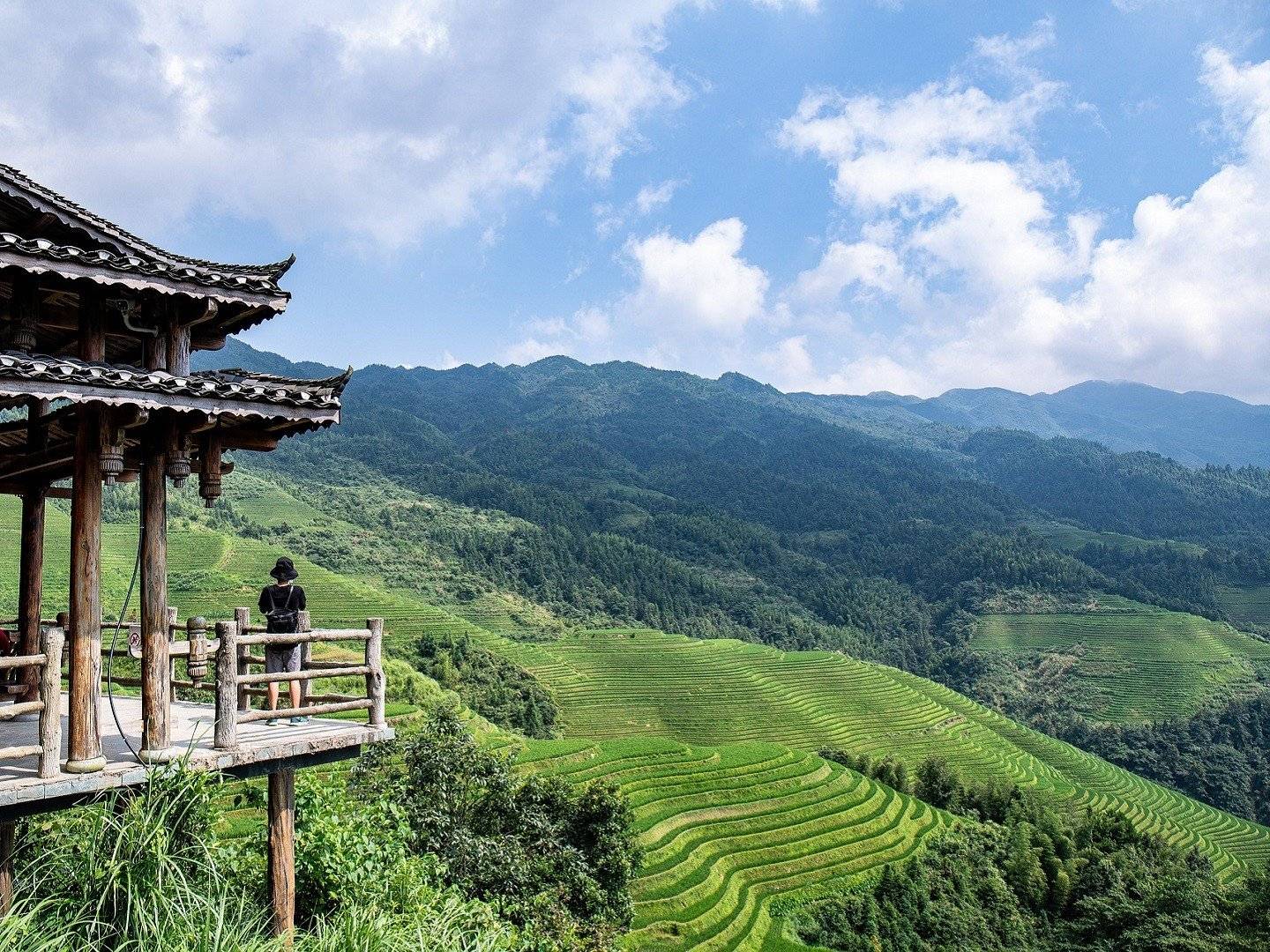 Longji: incroyables rizières en terrasse du Dos du Dragon