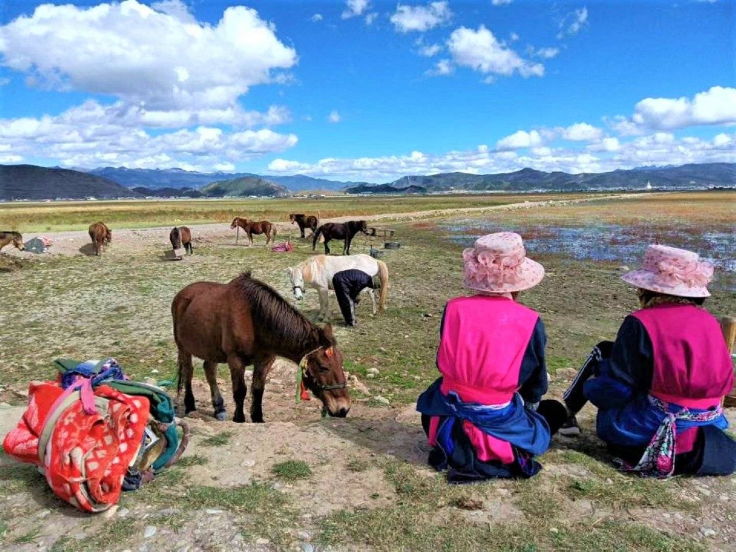 Immersion au cœur de la culture tibétaine