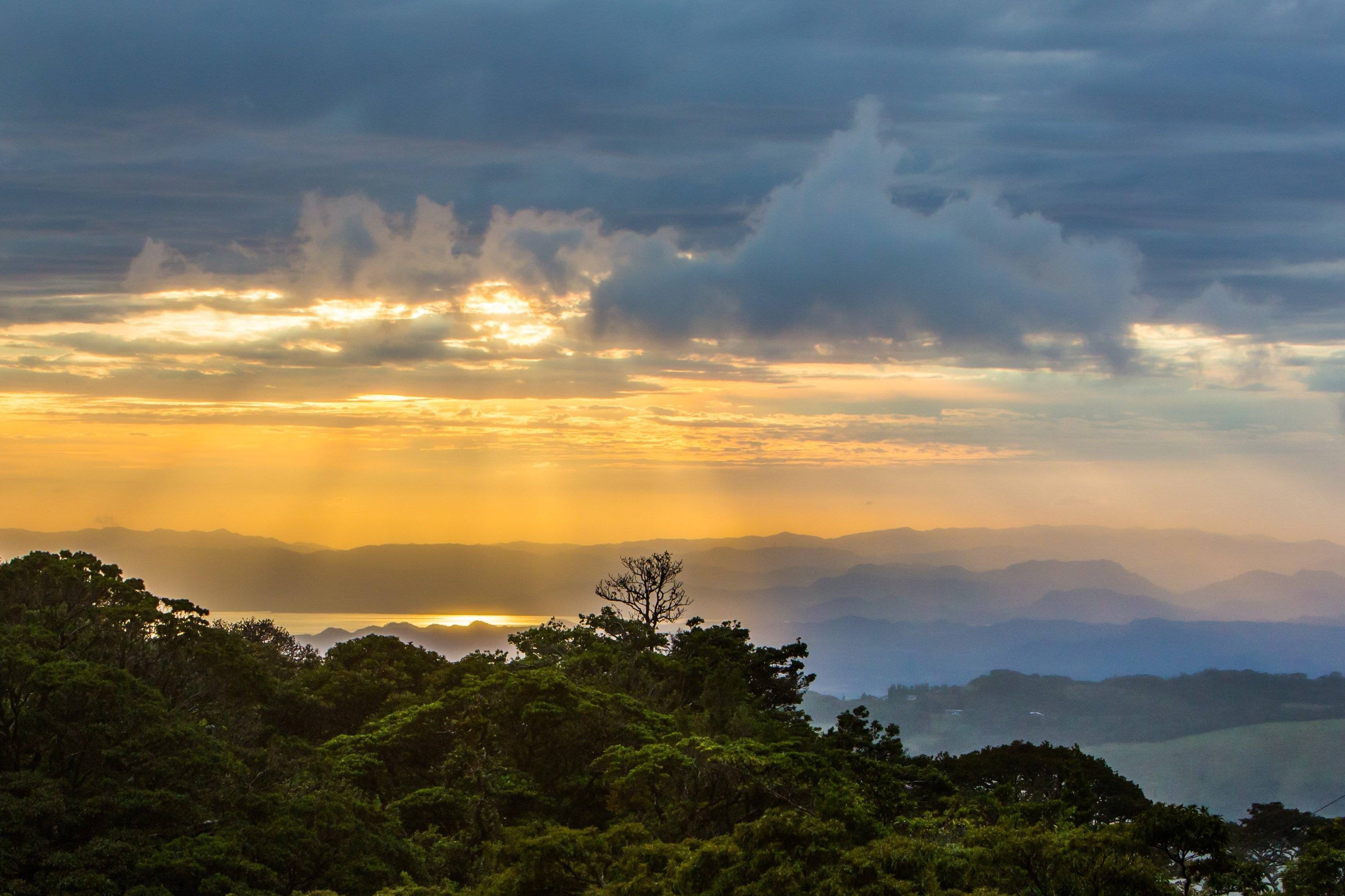 La forêt de nuages de Monteverde
