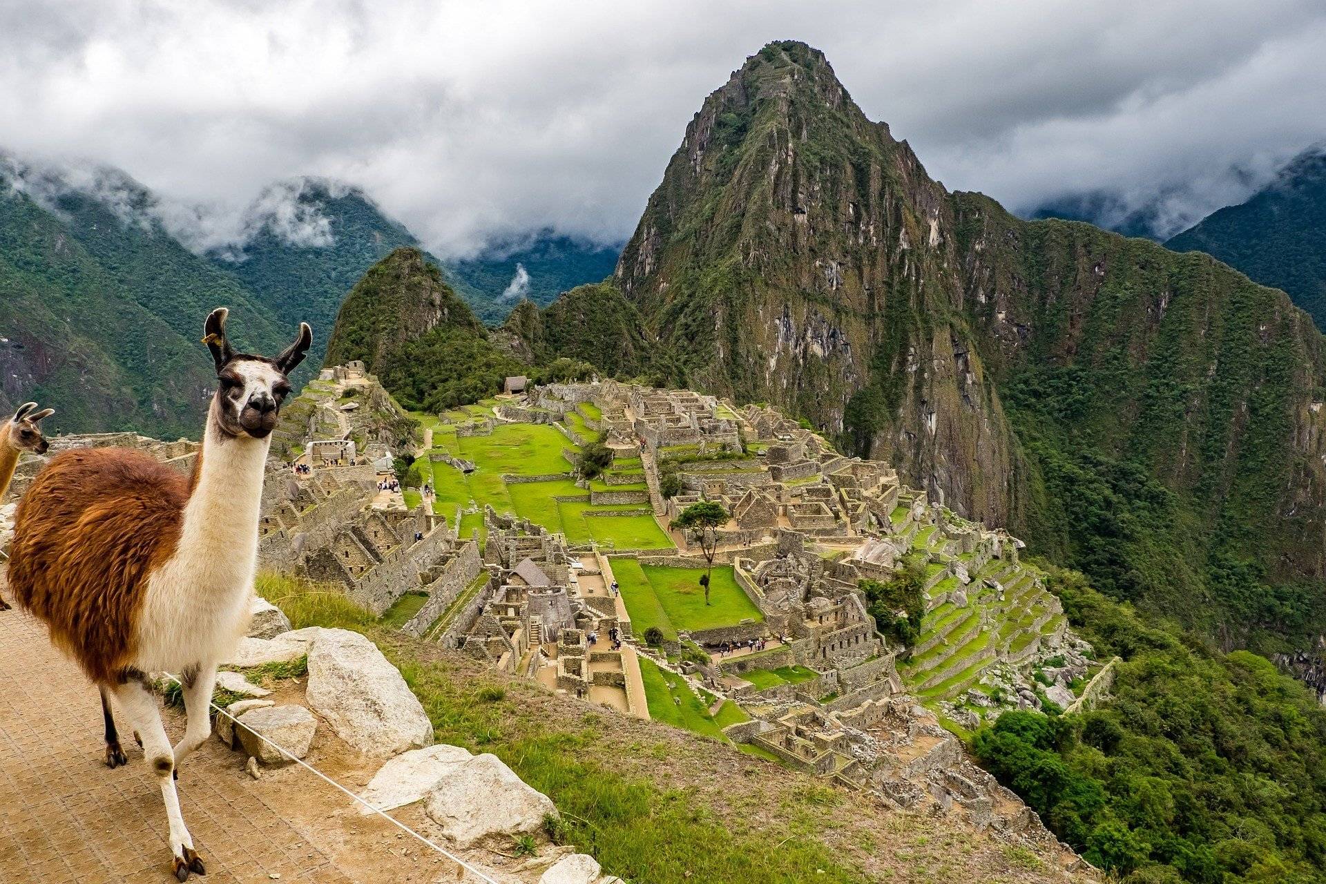 Visite de la majestueuse citadelle du Machu Picchu