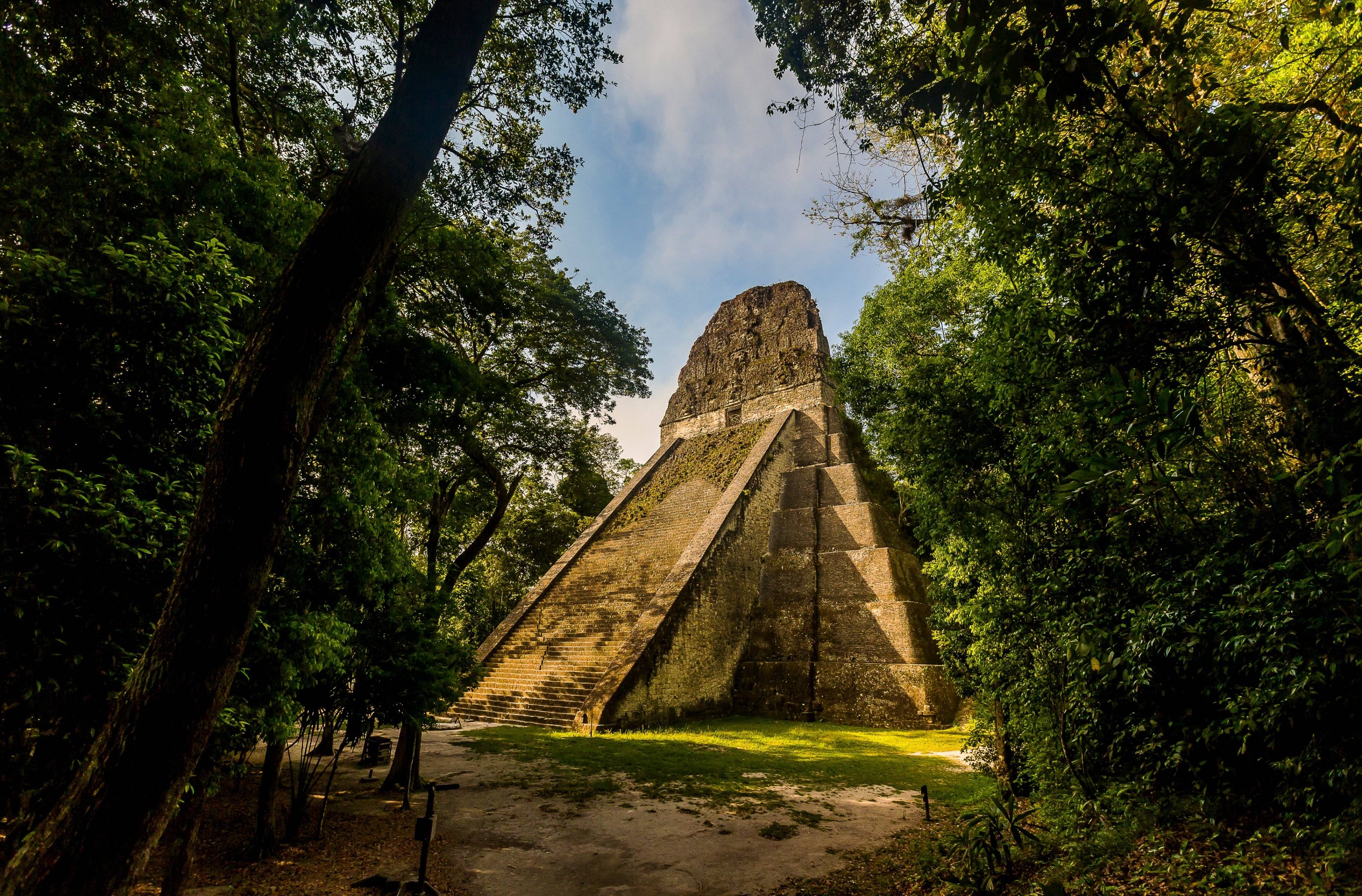 Les pyramides de Tikal