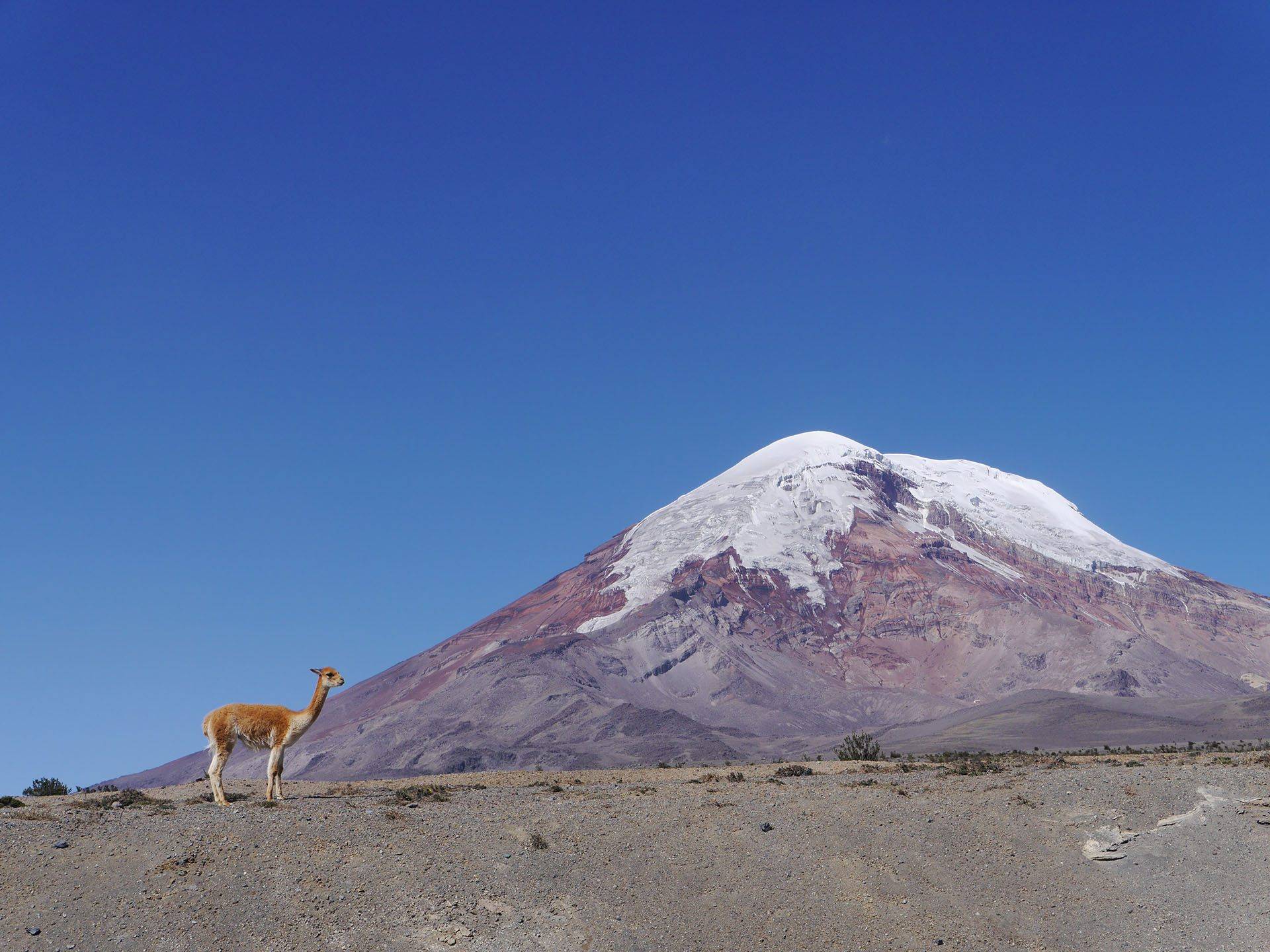 Wanderung zum Vulkan Chimborazo