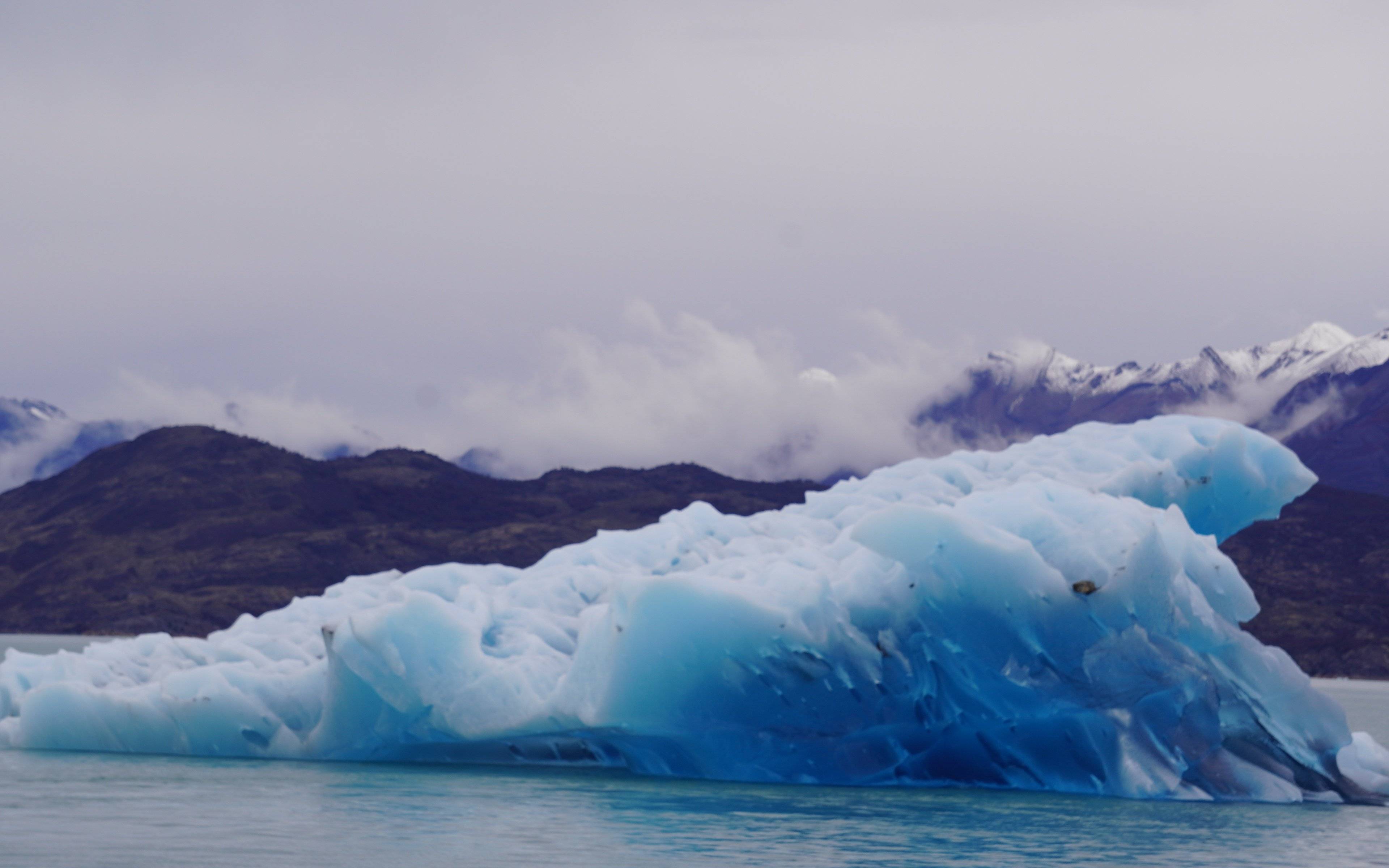 Navigatie tussen de ijsbergen en lunch in het hart van de gletsjers
