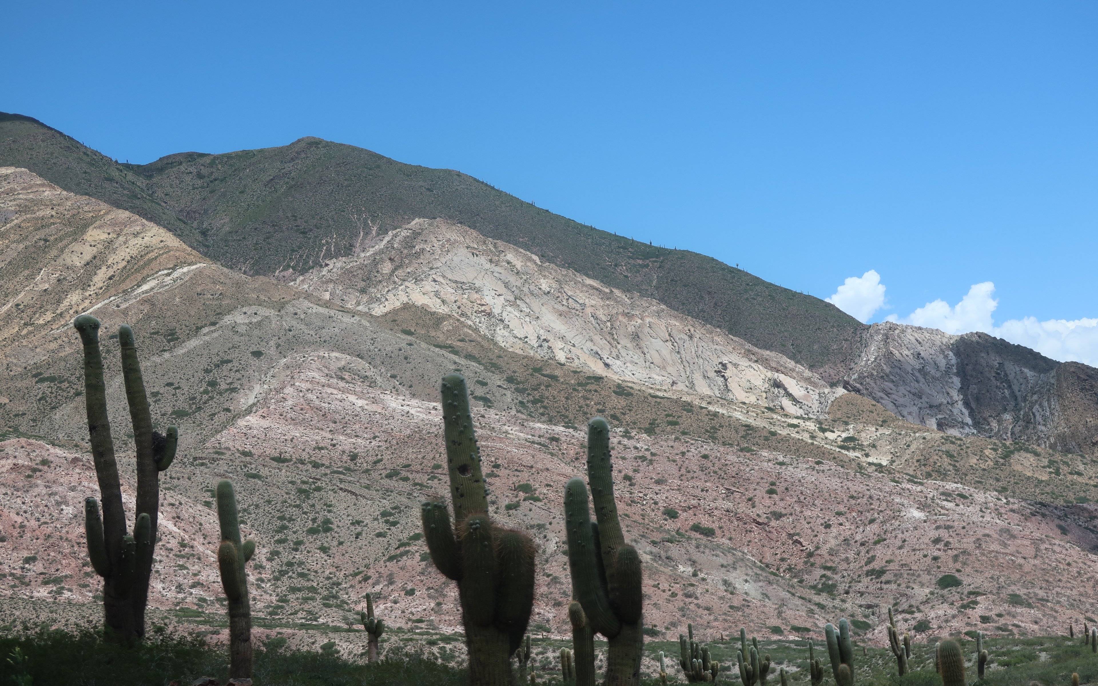 Van Salta naar Cachi via het Nationaal Park van de Cactussen